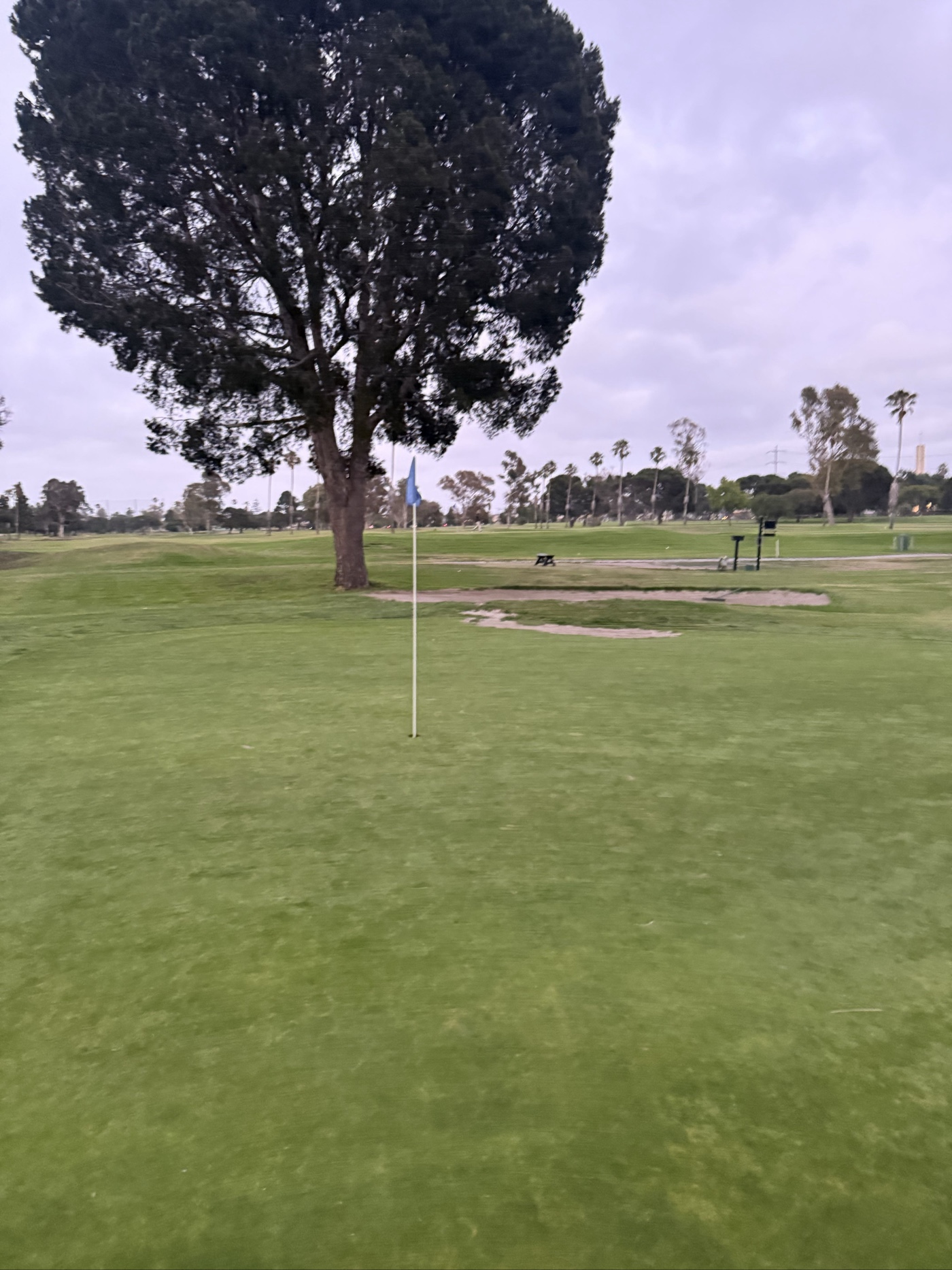 Golfer photo from a round at Par 3 - Alondra Park Golf Course in Lawndale, California