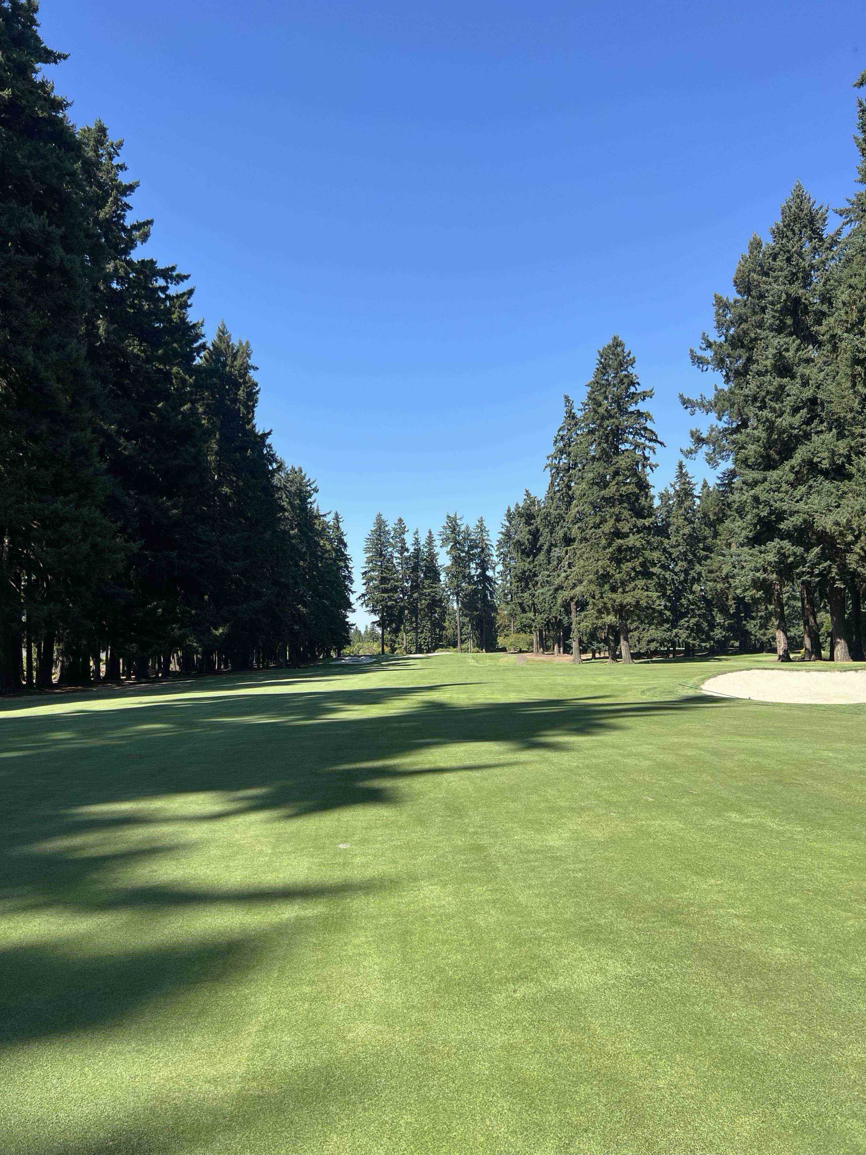 Golfer photo from a round at Tualatin Country Club in Tualatin, Oregon