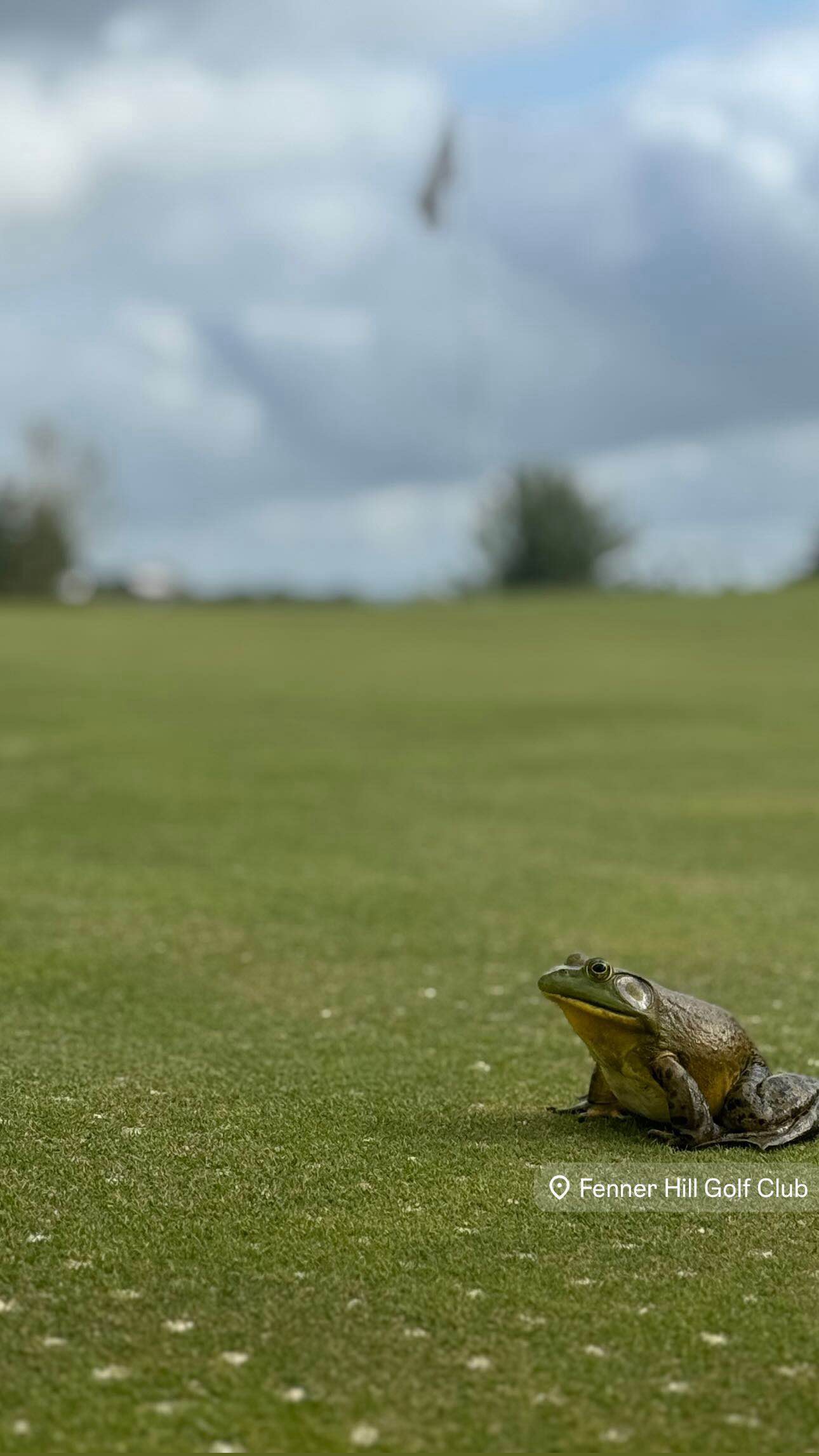 Golfer photo from a round at Fenner Hill Country Club in Hope Valley, Rhode Island