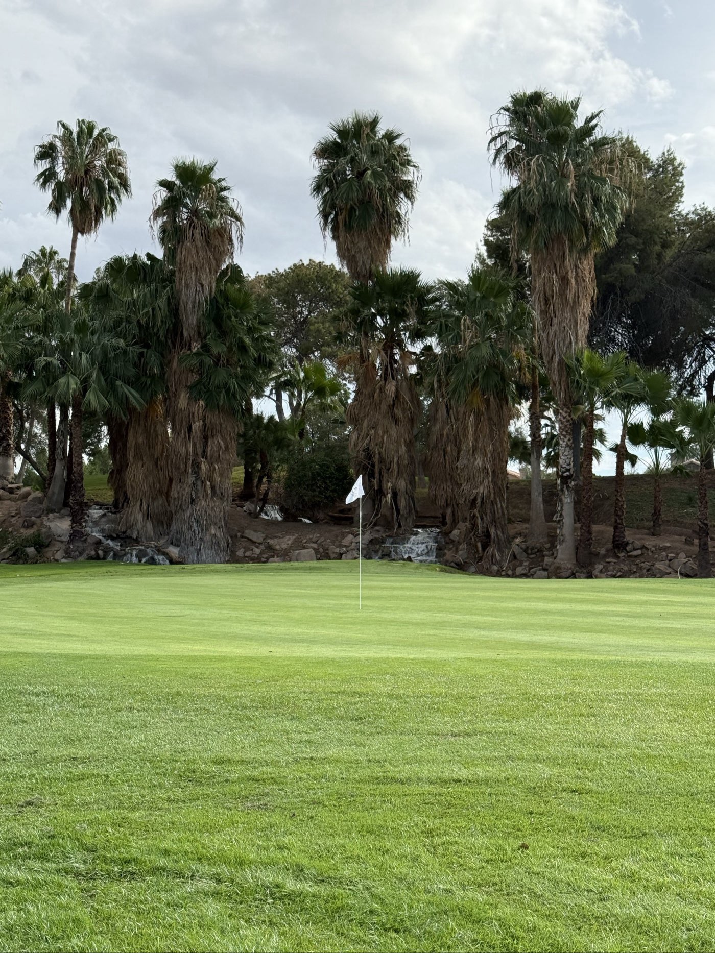 Golfer photo from a round at Superstition Springs Golf Club in Mesa, Arizona