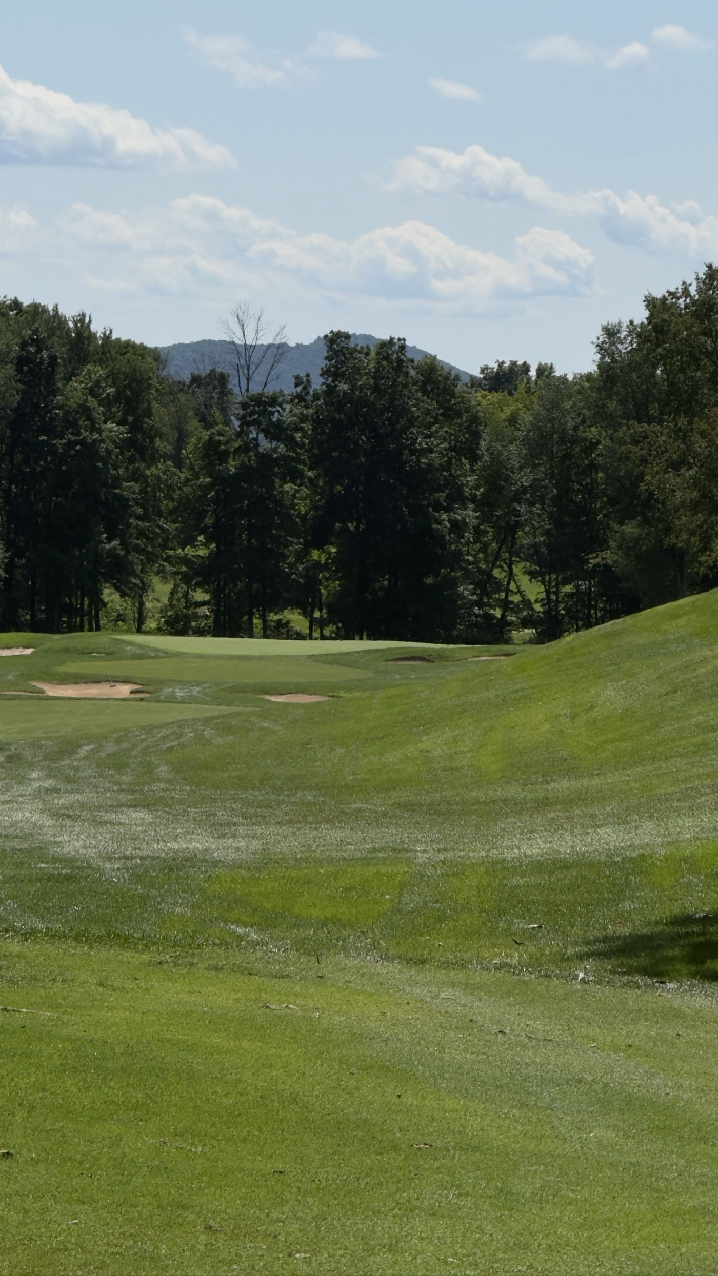 Golfer photo from a round at Black Bear Golf Club in Franklin, New Jersey