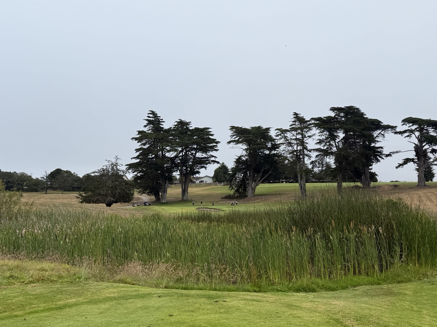 Golfer photo from a round at Pajaro Valley Golf Club in Royal Oaks, California