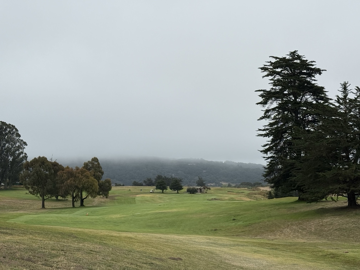 Golfer photo from a round at Pajaro Valley Golf Club in Royal Oaks, California