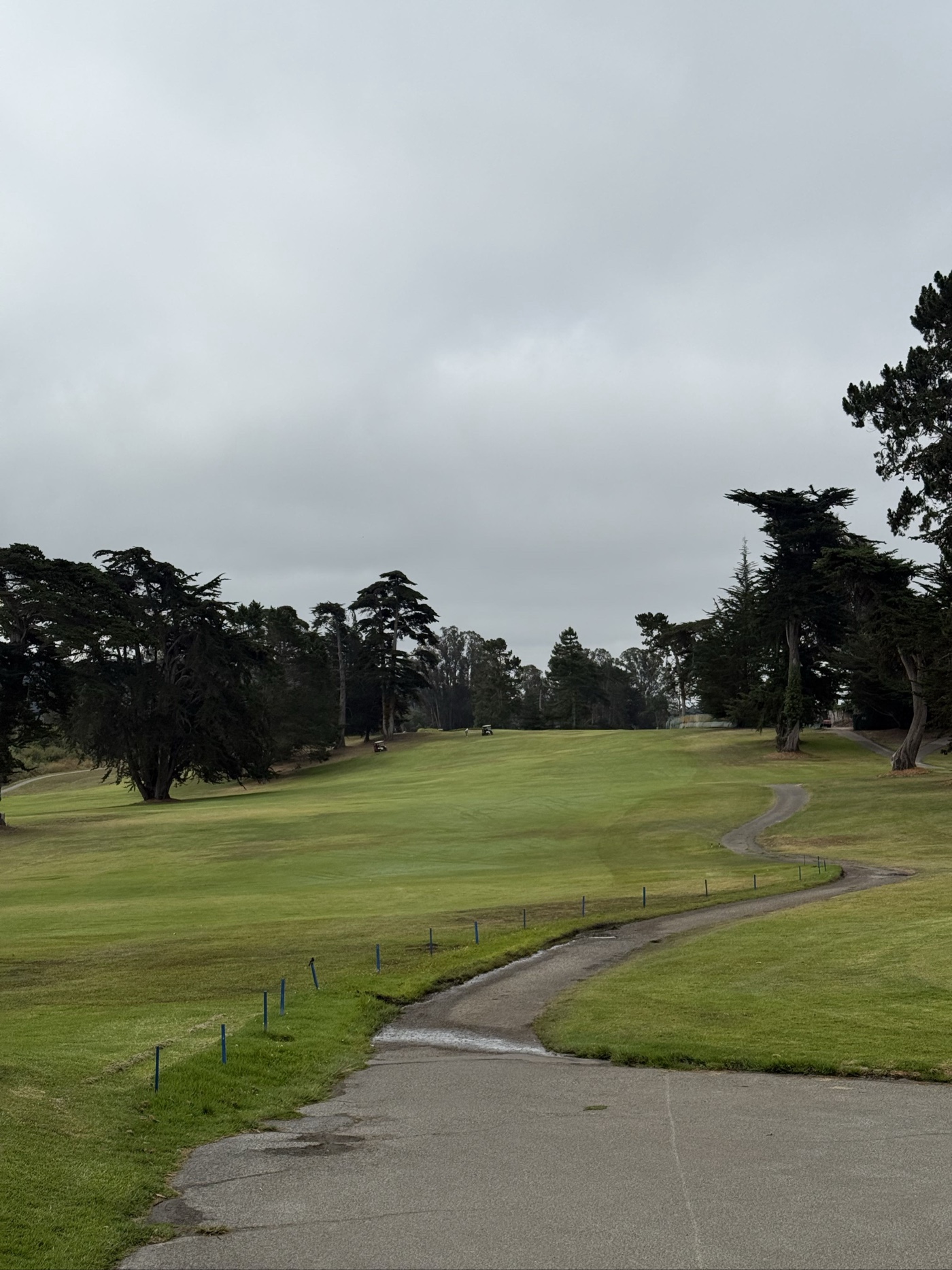 Golfer photo from a round at Pajaro Valley Golf Club in Royal Oaks, California