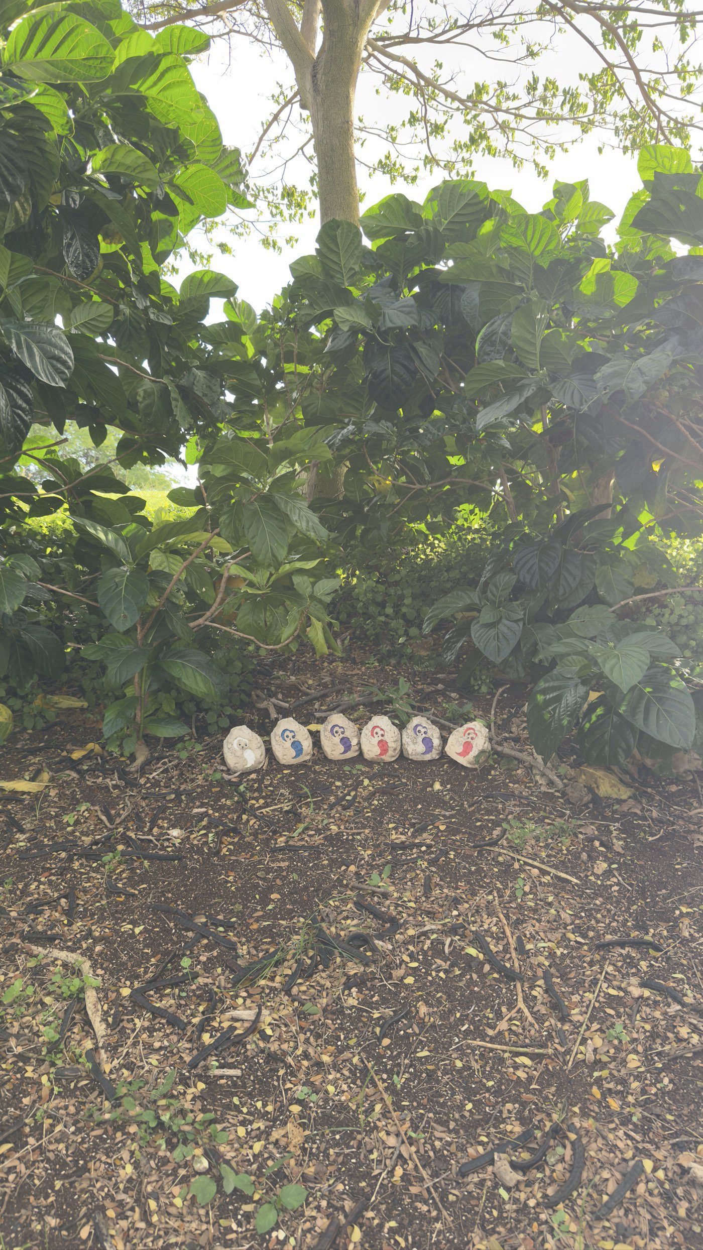 Golfer photo from a round at Coral Creek Golf Course in Ewa Beach, Hawaii