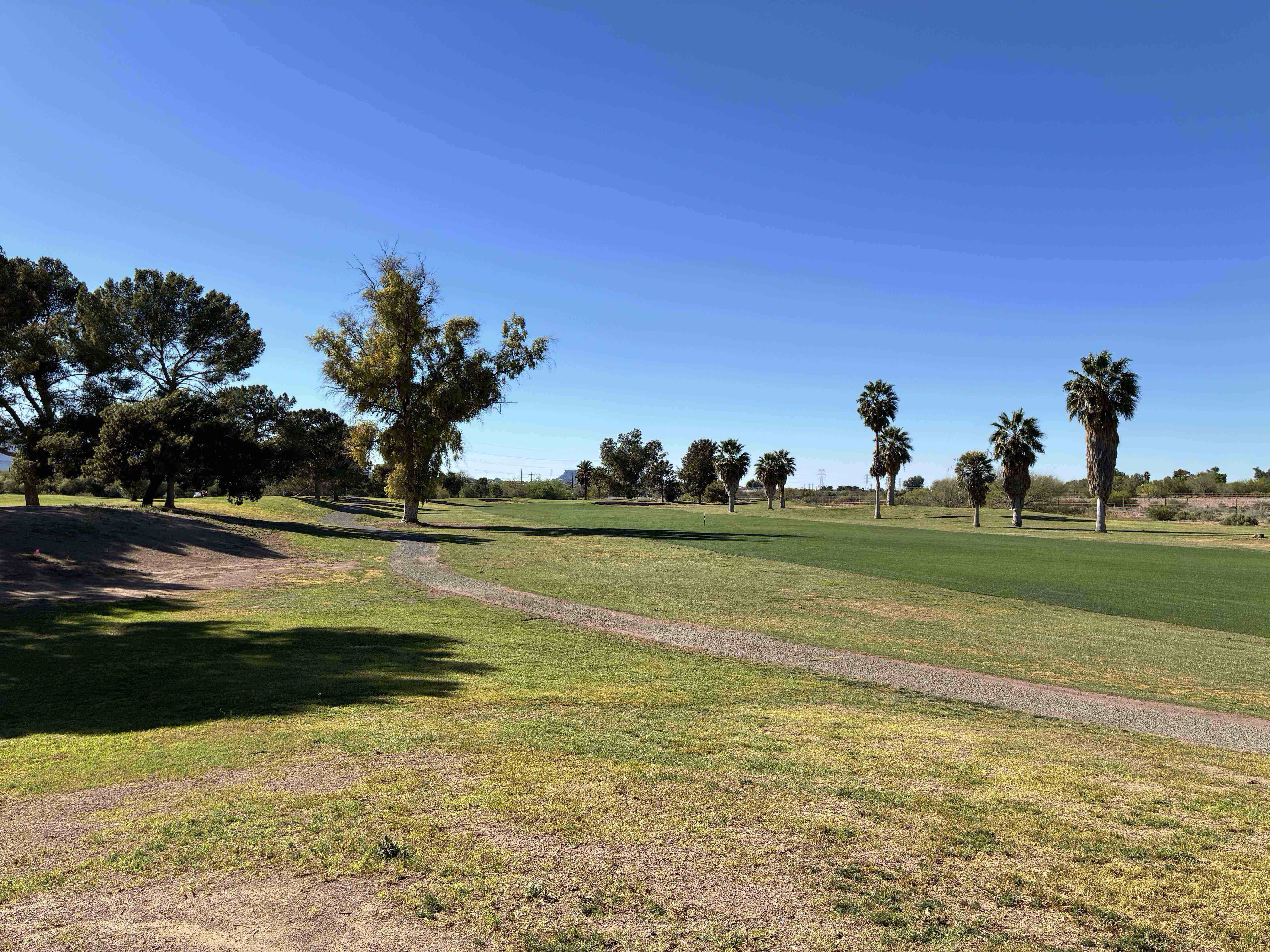 Golfer photo from a round at Silverbell Municipal Golf Course in Tucson, Arizona