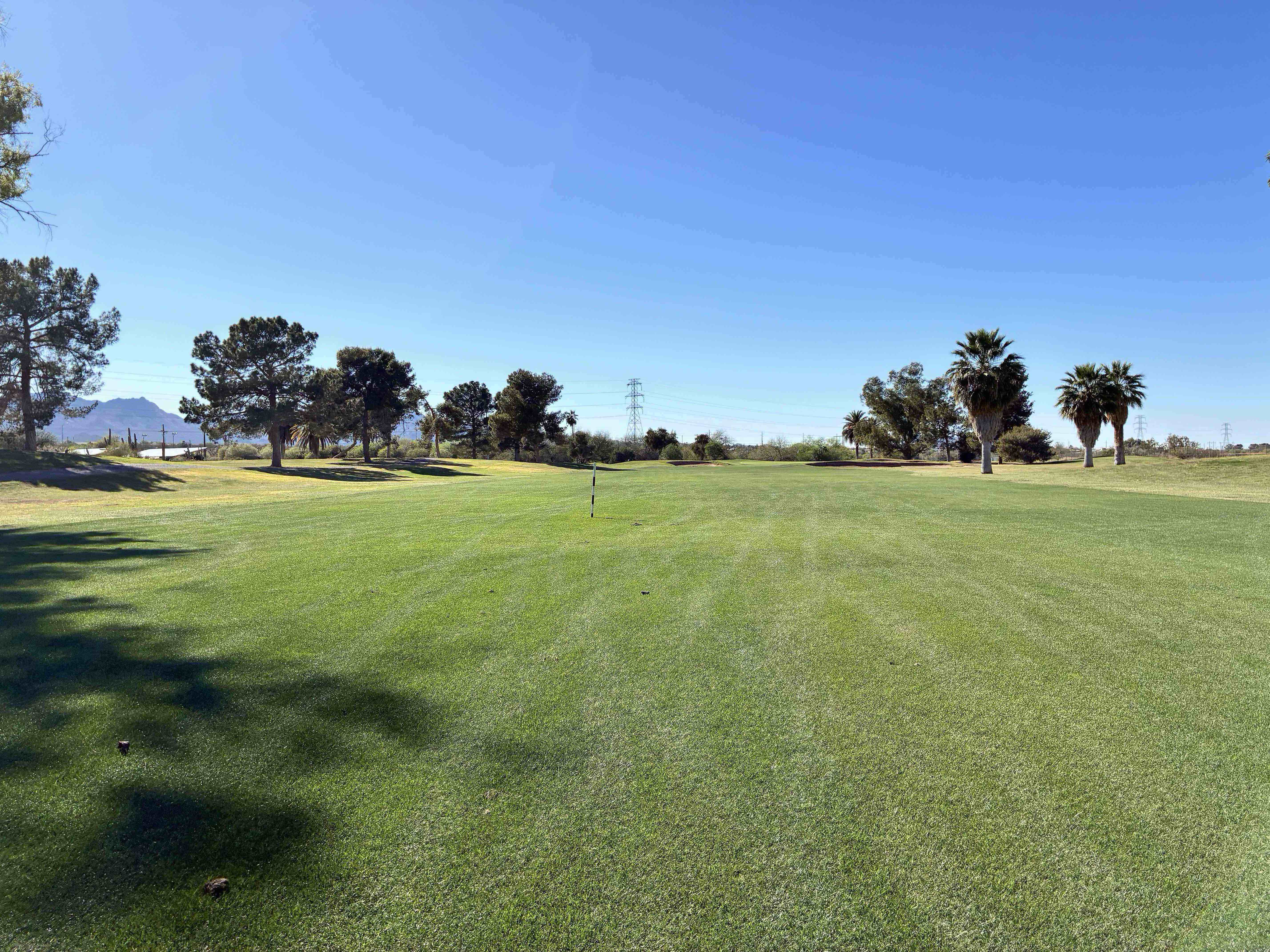 Golfer photo from a round at Silverbell Municipal Golf Course in Tucson, Arizona