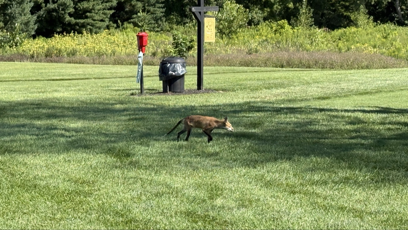 Golfer photo from a round at Green Acres Golf Course in Marion, Ohio
