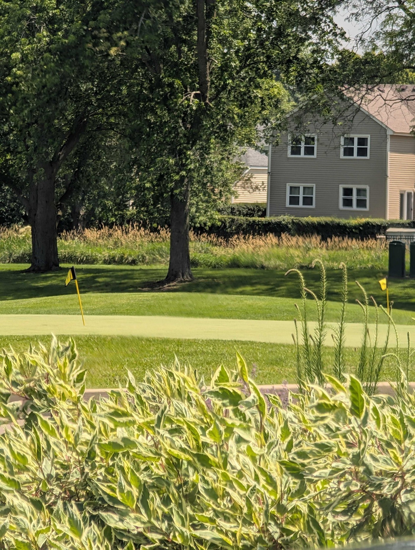 Golfer photo from a round at Fox Run Golf Links in Elk Grove Village, Illinois