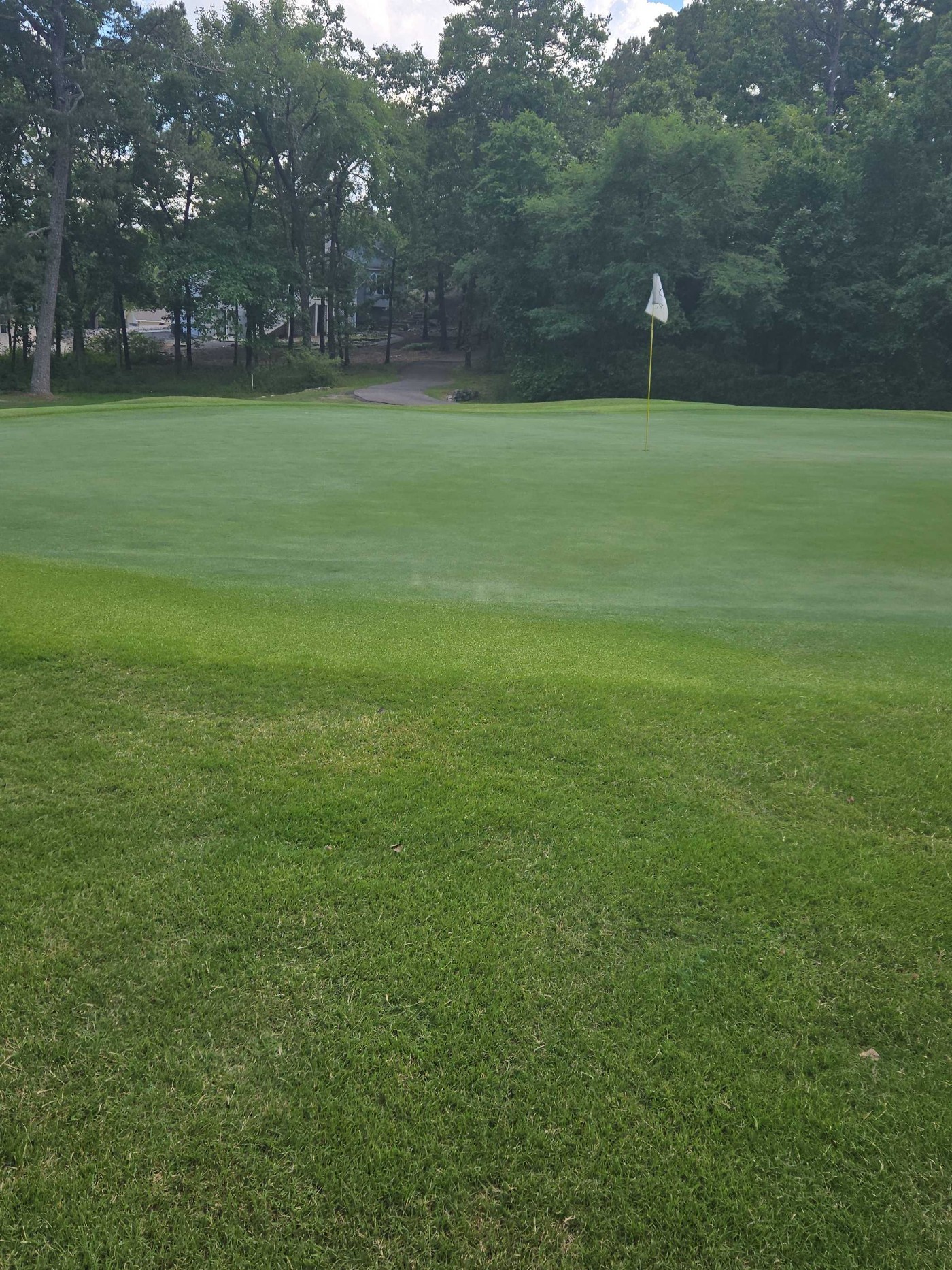 Golfer photo from a round at Coronado - Hot Springs Village in Hot Springs Village, Arkansas