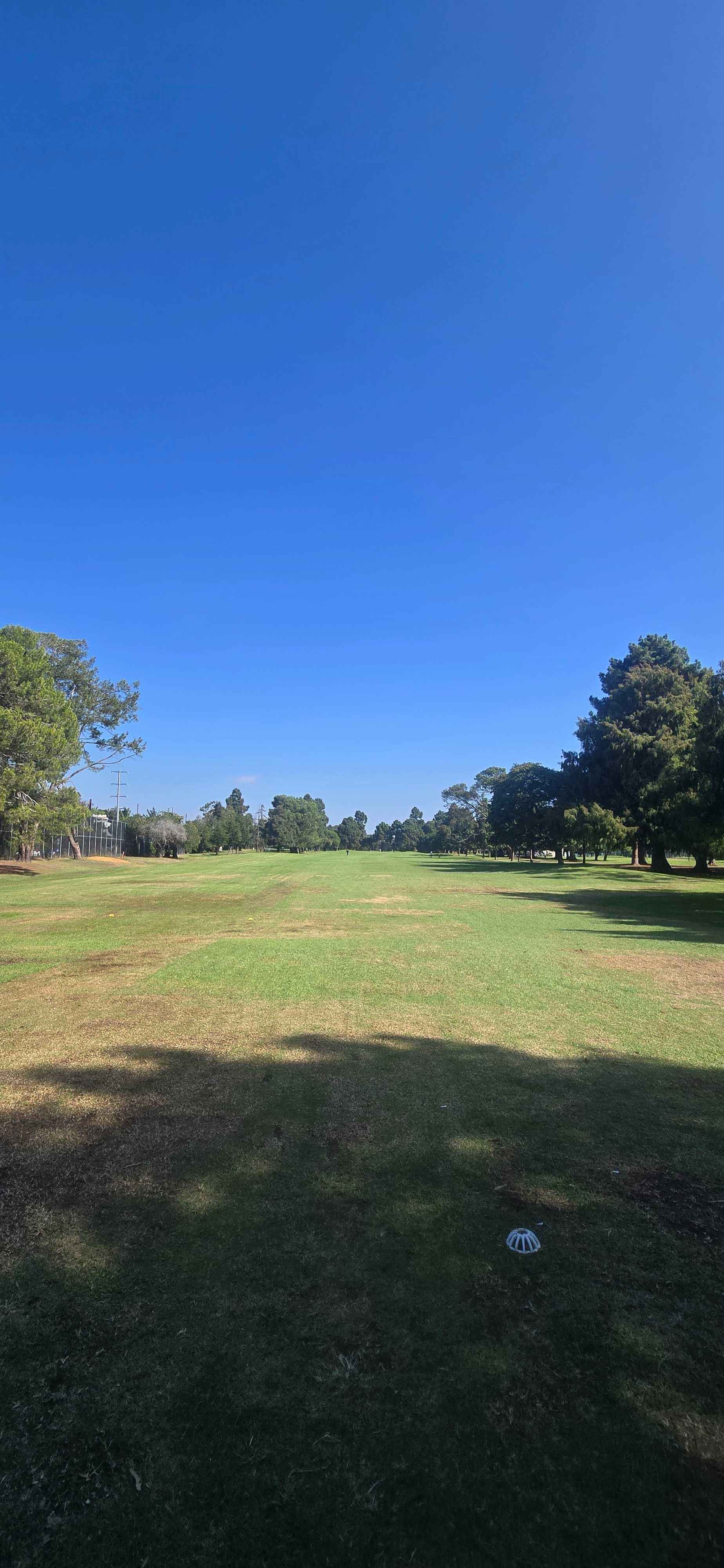 Golfer photo from a round at Penmar Golf Course in Venice, California
