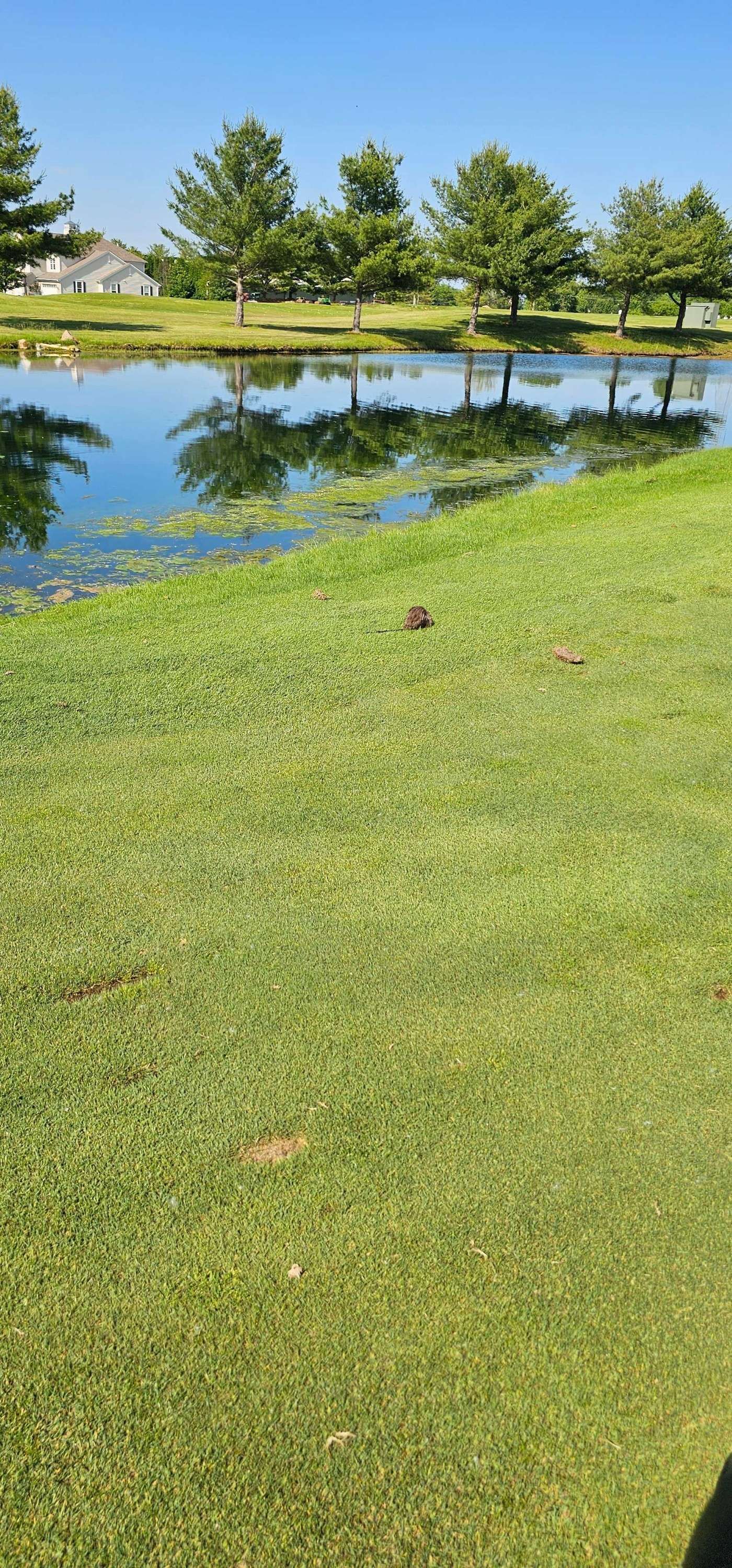Golfer photo from a round at Cumberland Trail Golf Club in Pataskala, Ohio