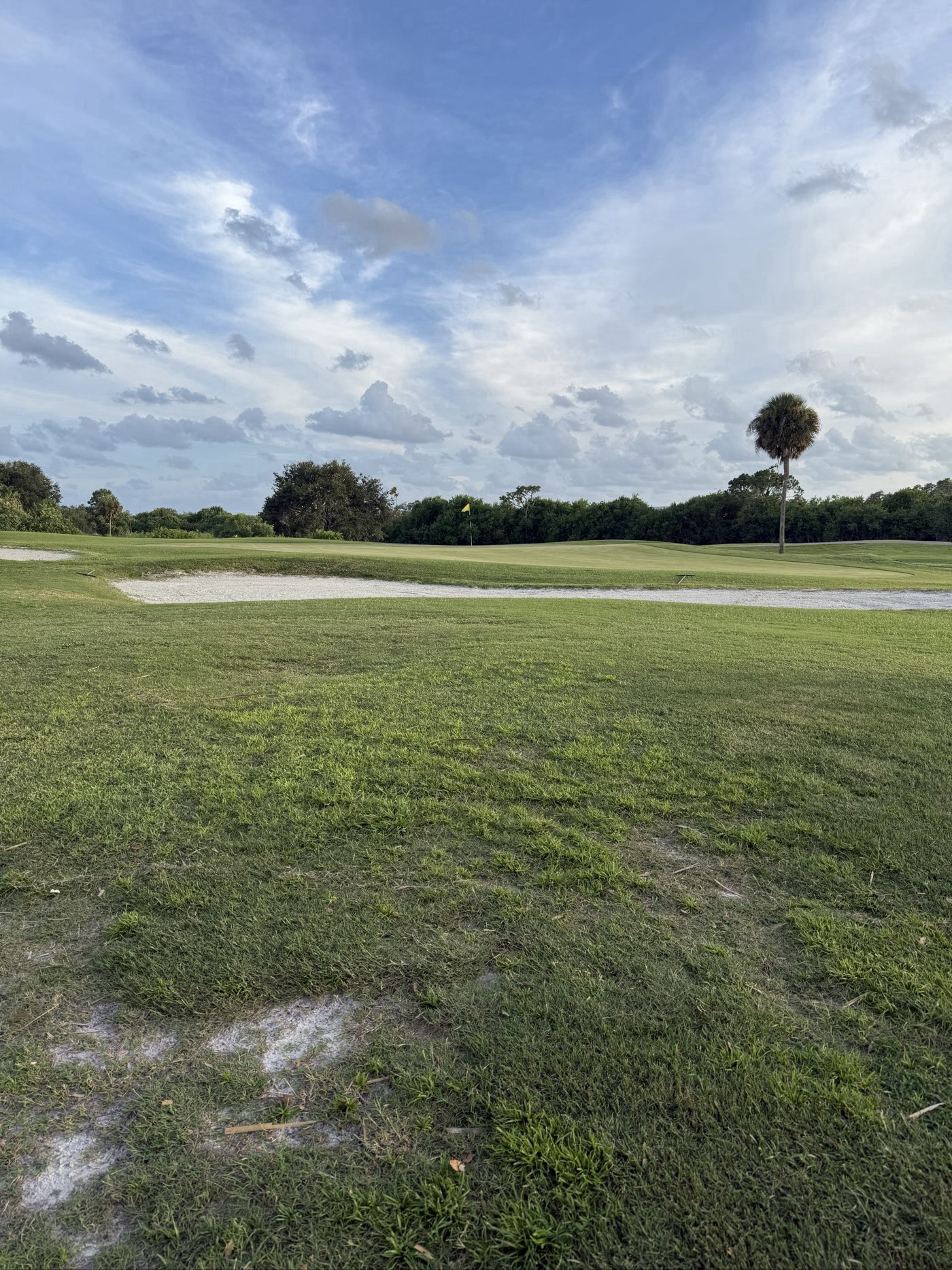 Golfer photo from a round at Mangrove Bay Golf Course in St. Petersburg, Florida