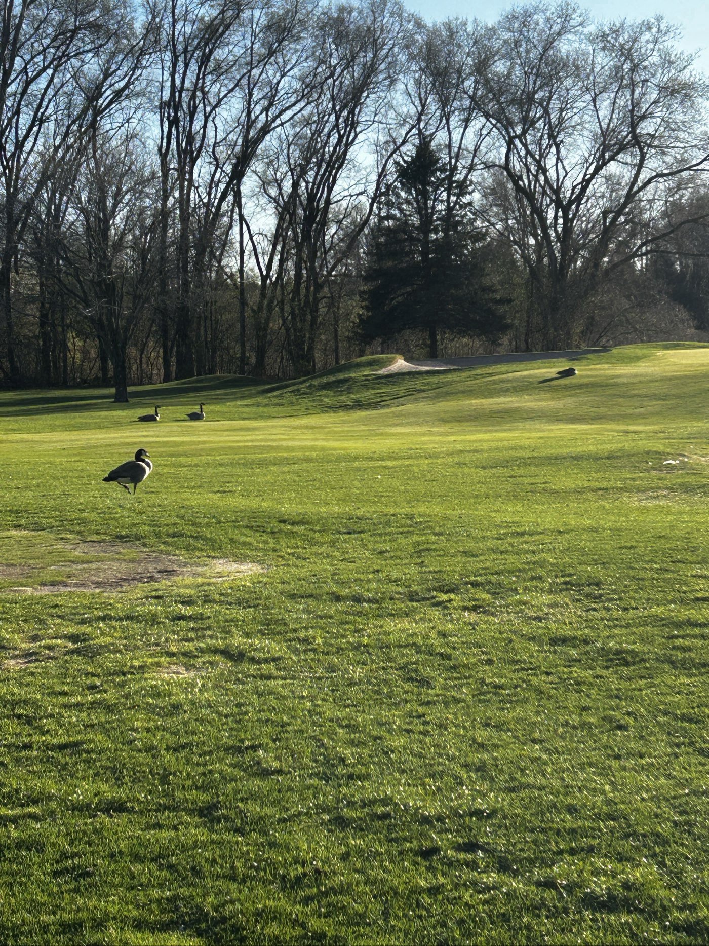 Golfer photo from a round at Cannon Golf Club in Cannon Falls, Minnesota