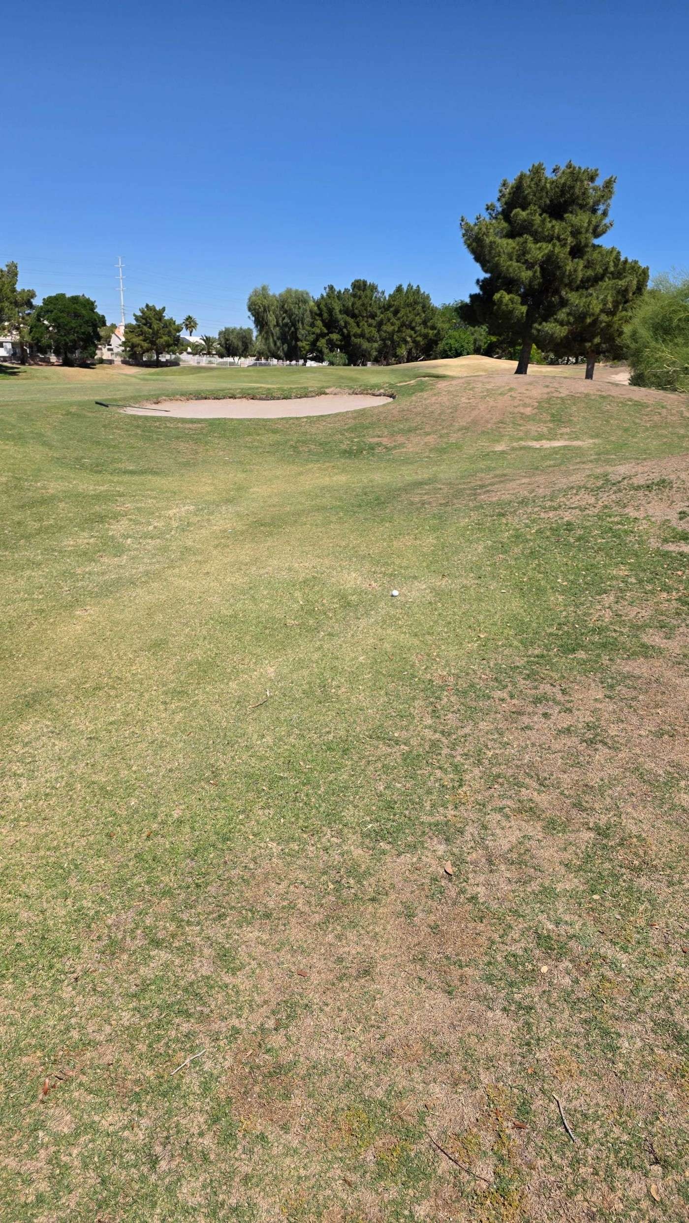 Golfer photo from a round at Stallion Mountain Country Club in Las Vegas, Nevada