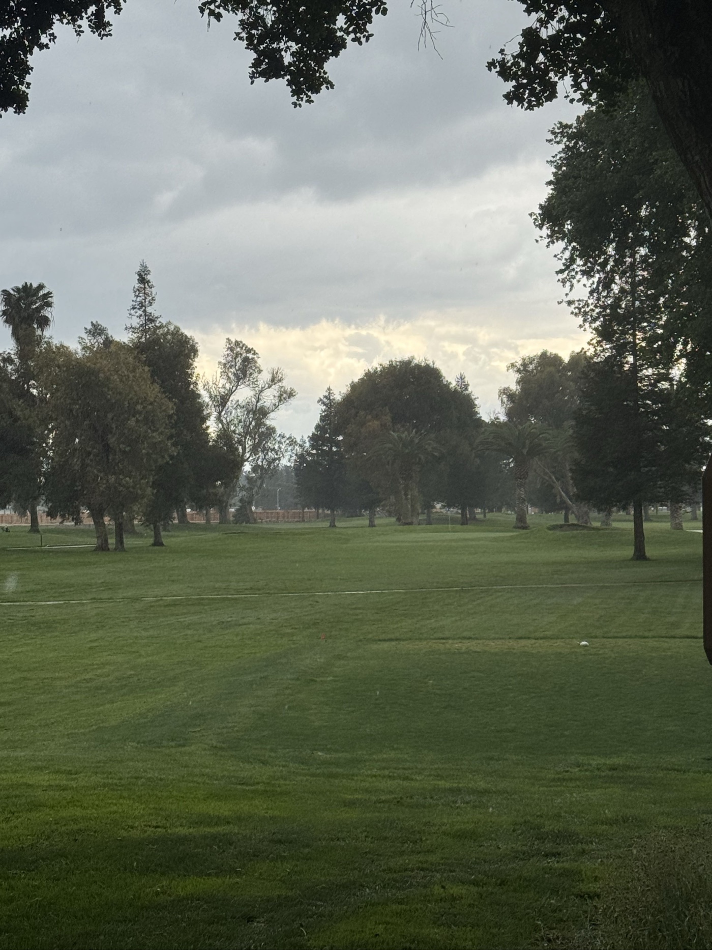 Golfer photo from a round at Manteca Park Golf Course in Manteca, California