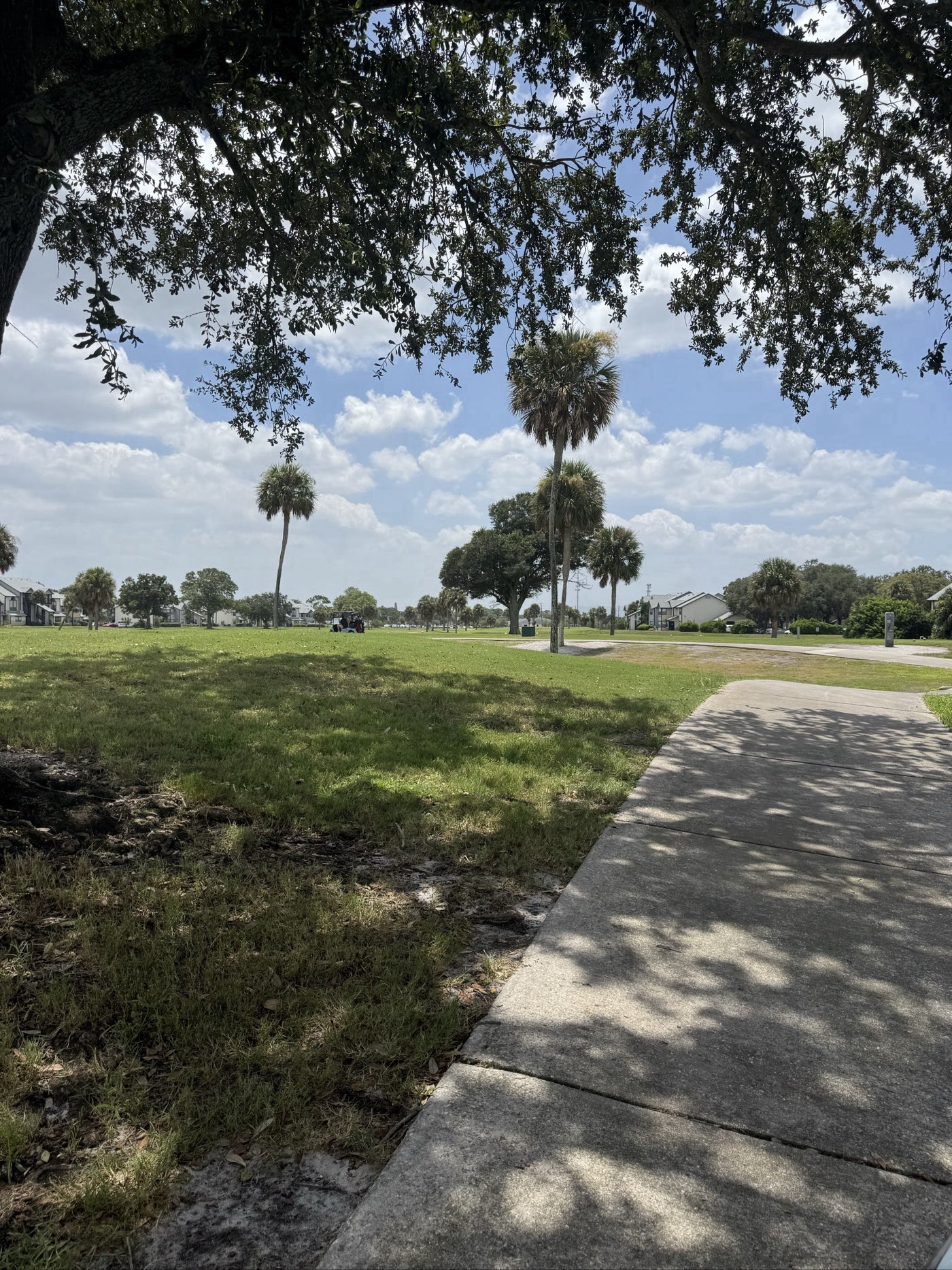 Golfer photo from a round at Mallards Landing Golf in Melbourne, Florida