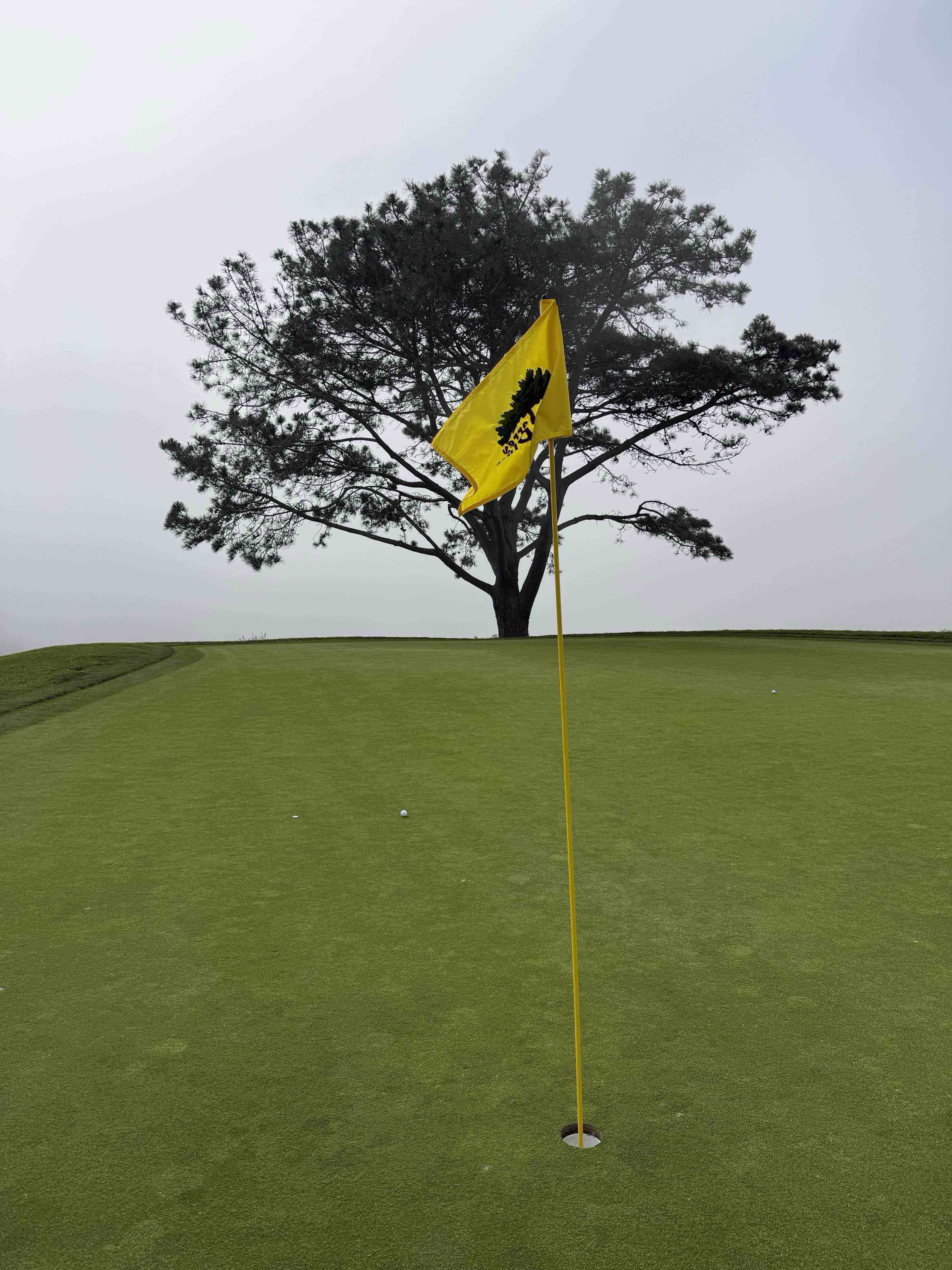 Golfer photo from a round at South - Torrey Pines Municipal Golf Course in La Jolla, California