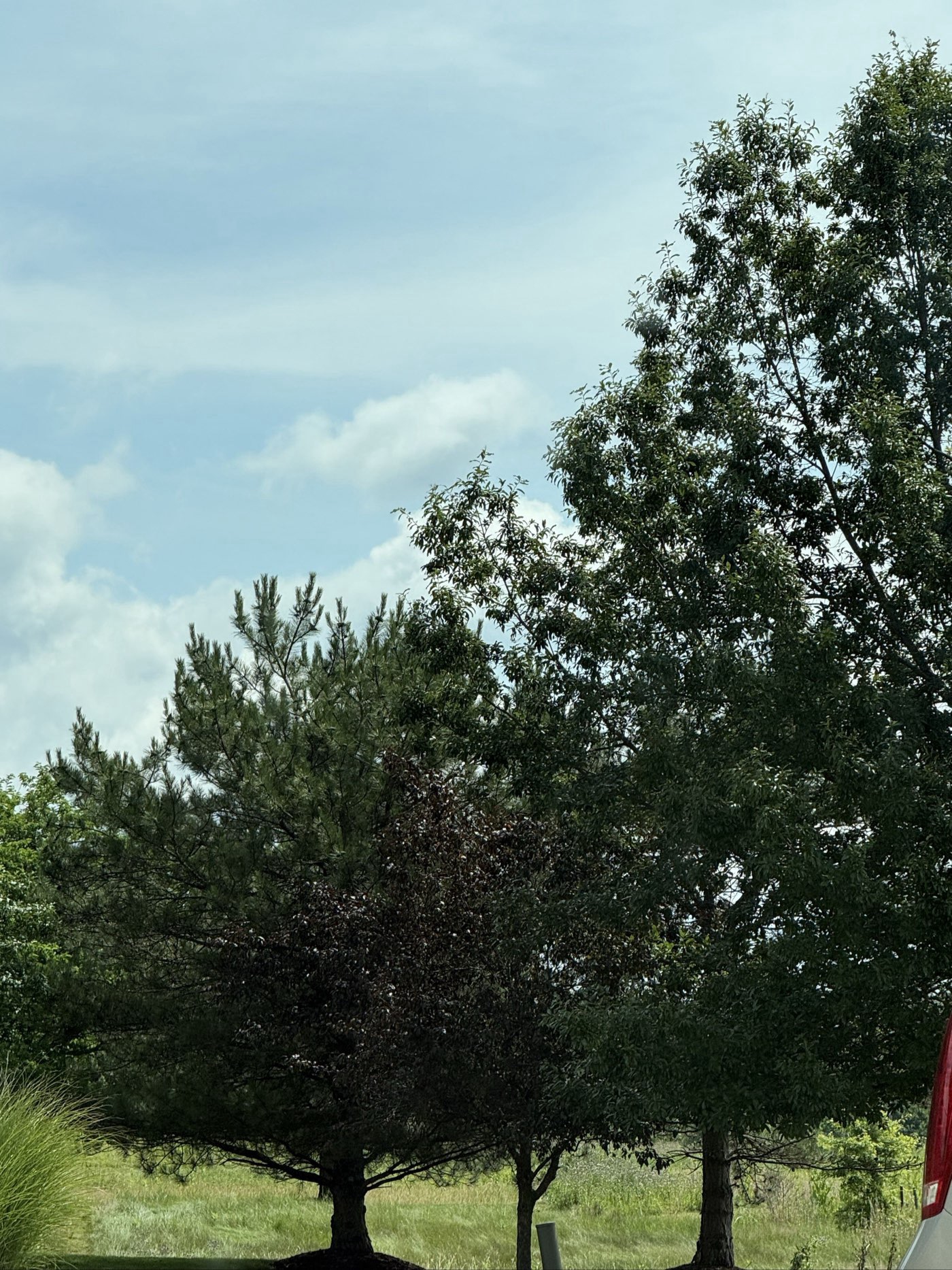 Golfer photo from a round at Briarwood Golf Club in Ankeny, Iowa