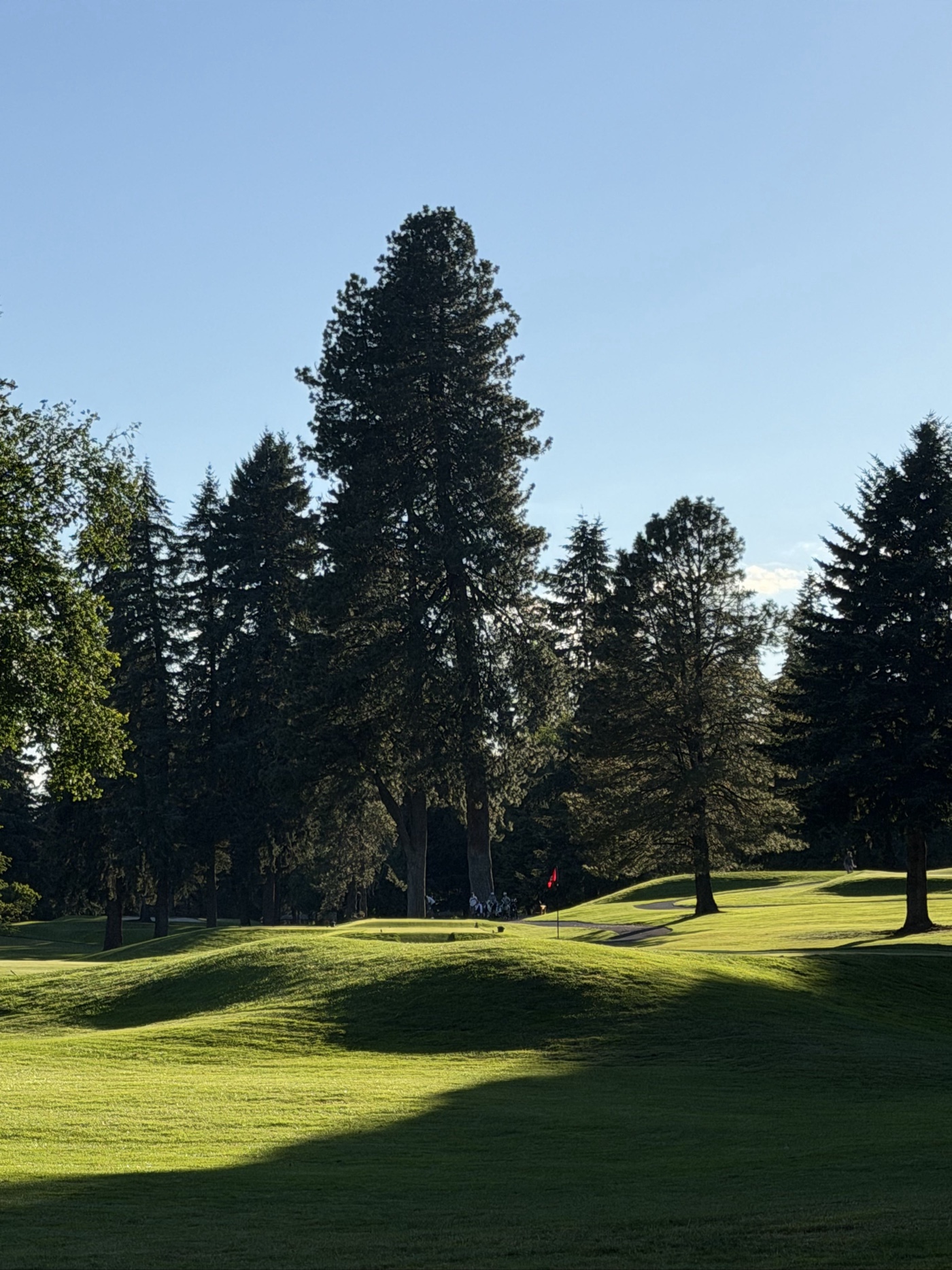 Golfer photo from a round at Tualatin Country Club in Tualatin, Oregon