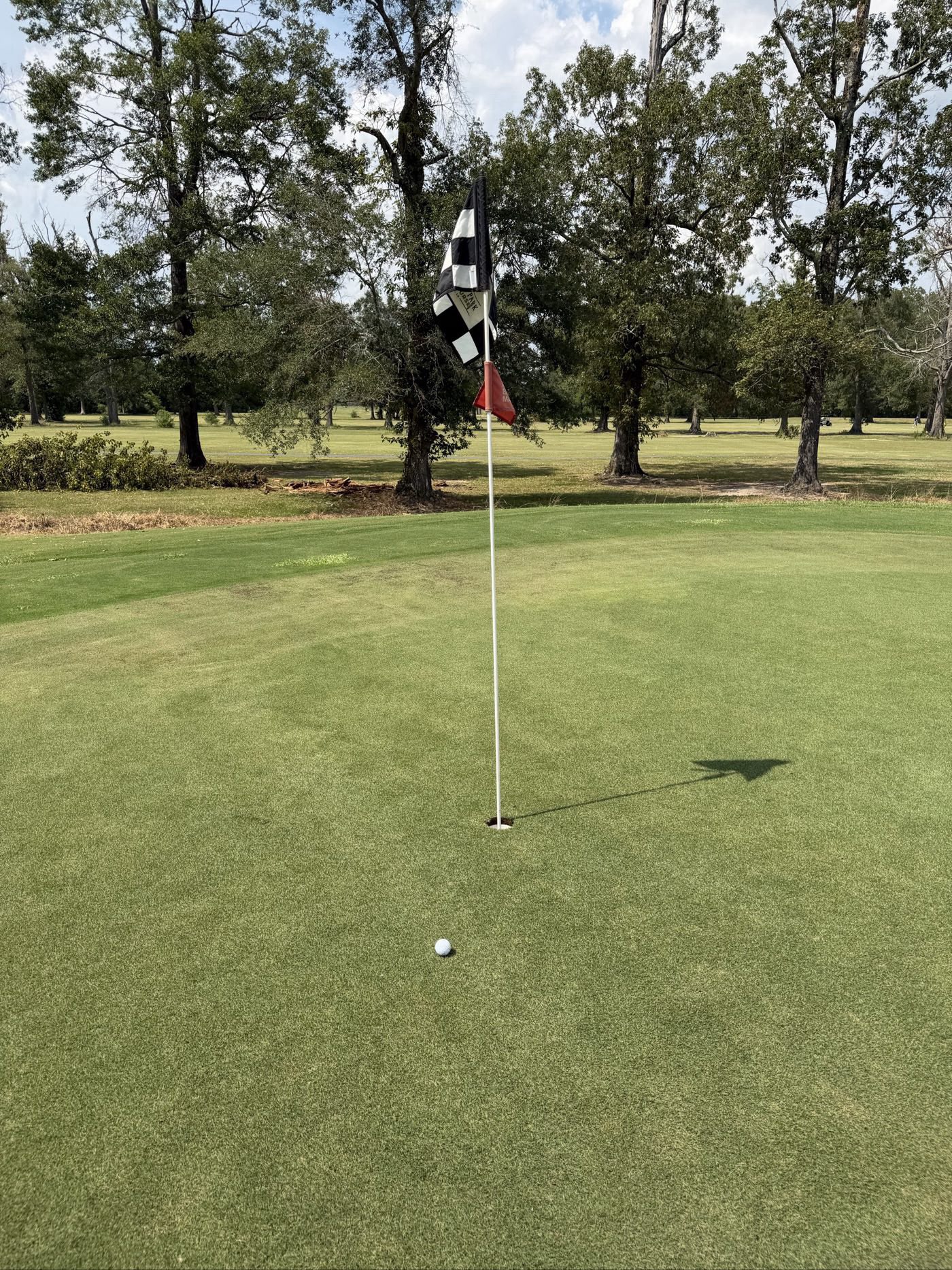 Golfer photo from a round at Chennault Park Golf Course in Monroe, Louisiana, Louisiana