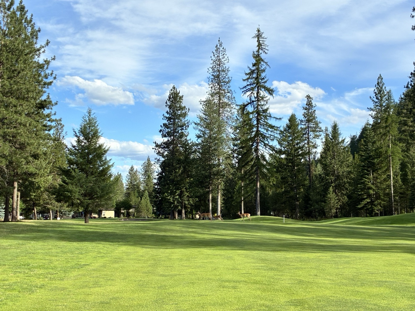 Golfer photo from a round at 18 - Chewelah Golf & Country Club in Chewelah, Washington