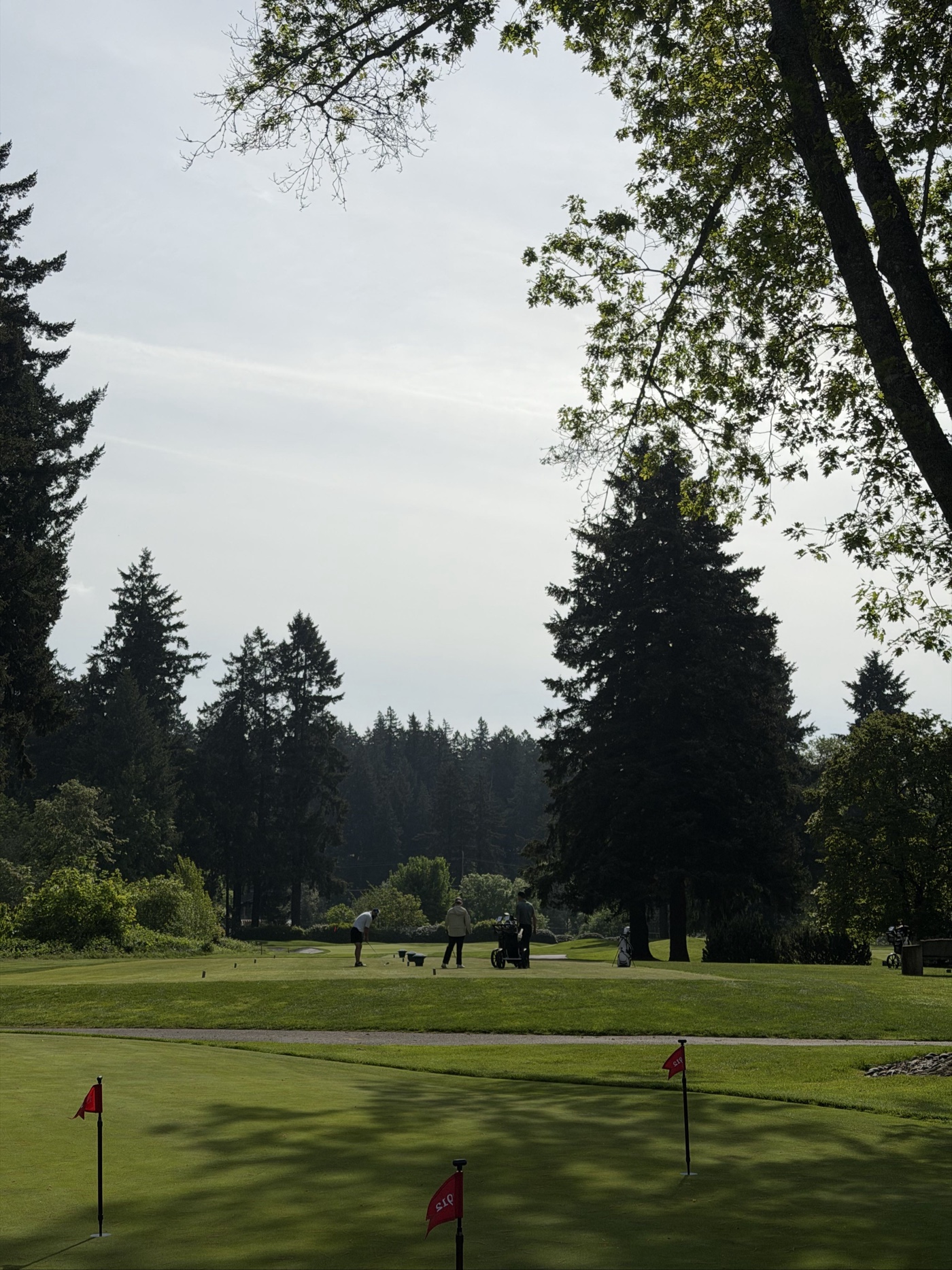 Golfer photo from a round at Tualatin Country Club in Tualatin, Oregon