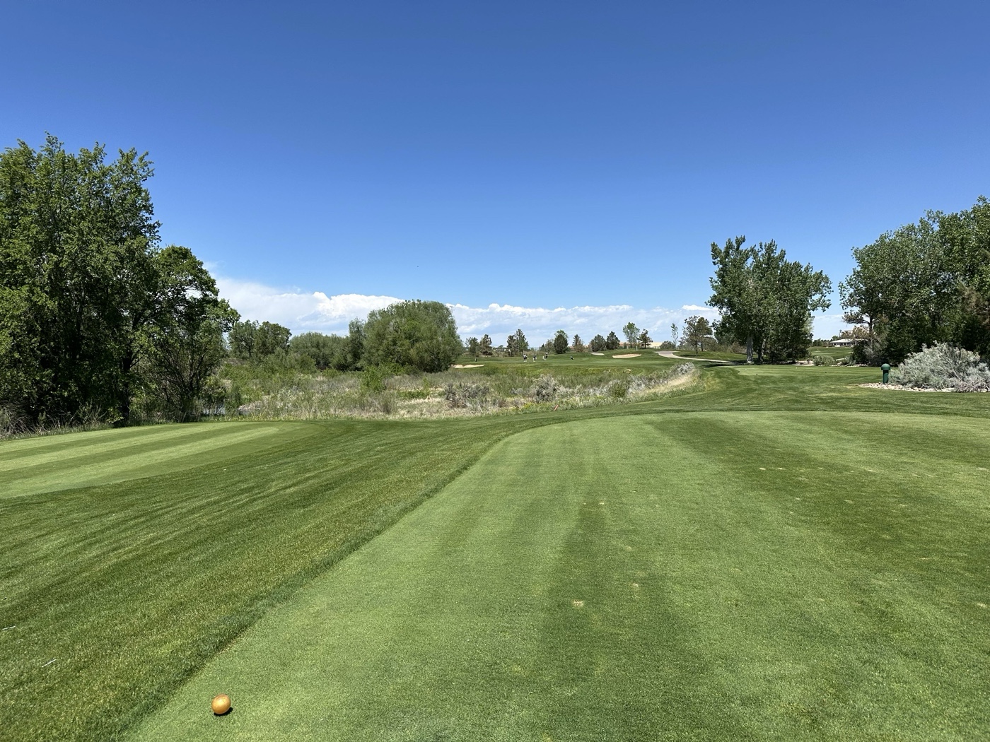 Golfer photo from a round at Cherry Creek Country Club in Denver, Colorado