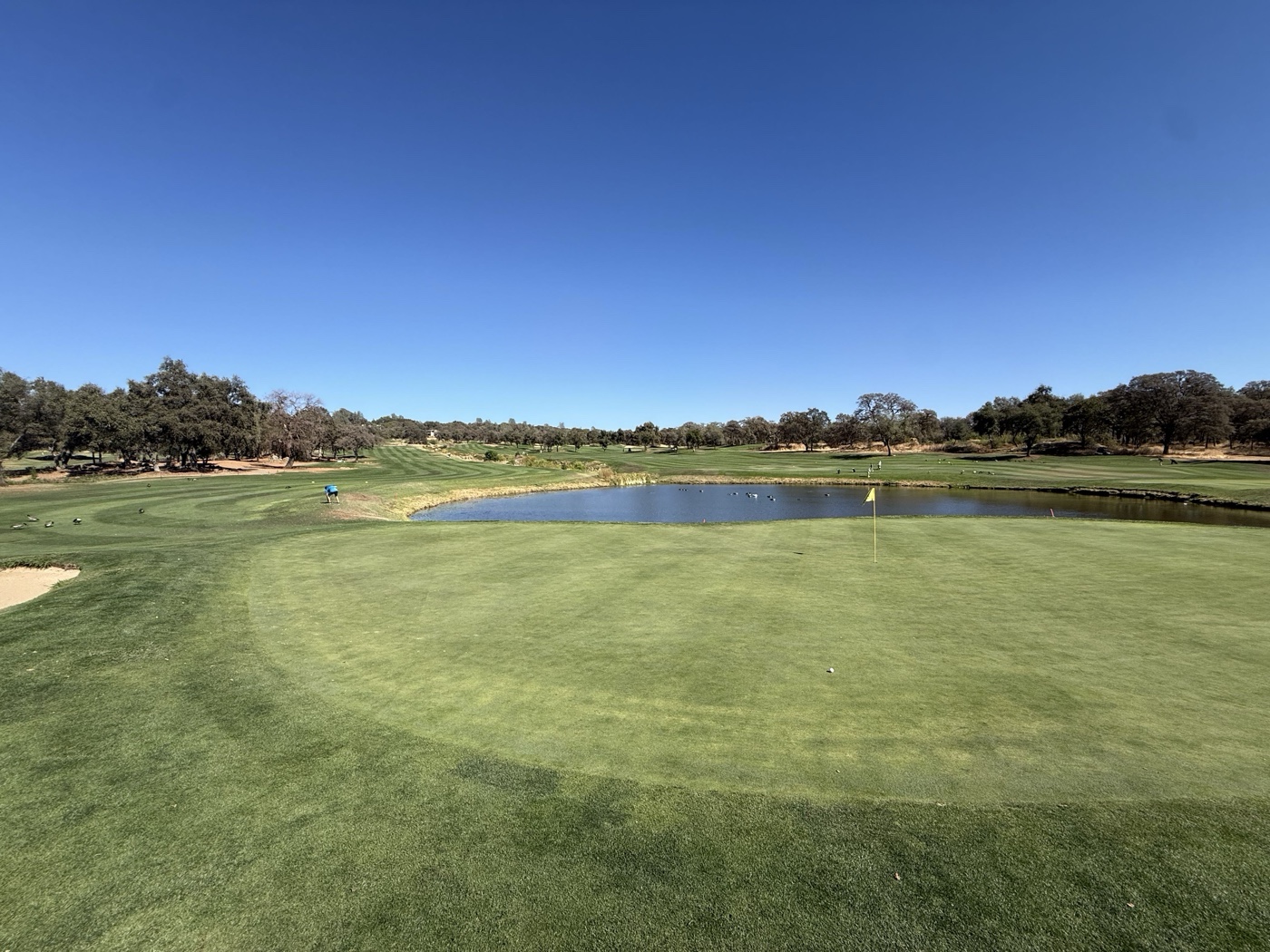 Golfer photo from a round at Ridge Golf Course in Auburn, Arkansas