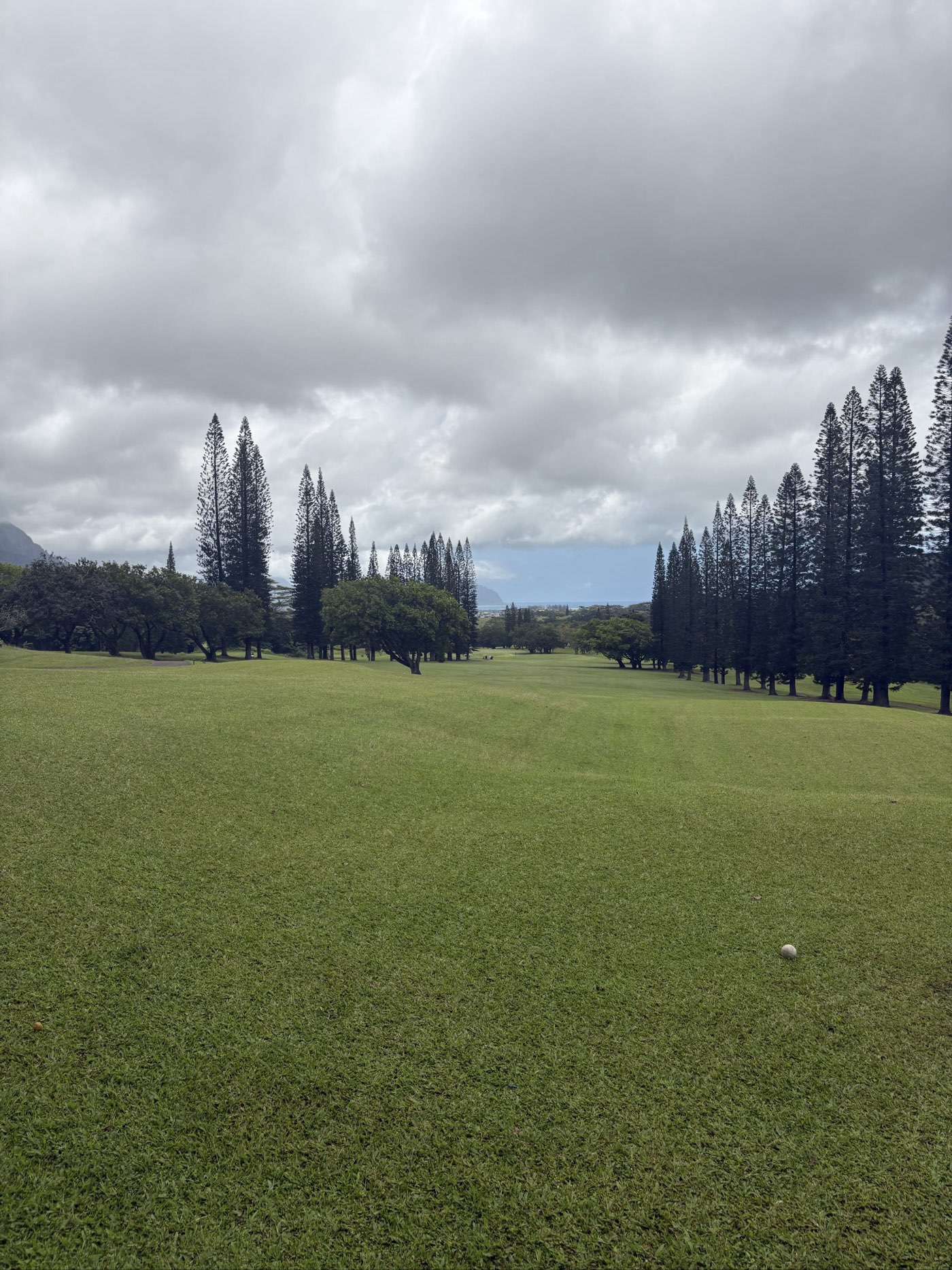 Golfer photo from a round at Pali Municipal Golf Course in Kaneohe, Hawaii