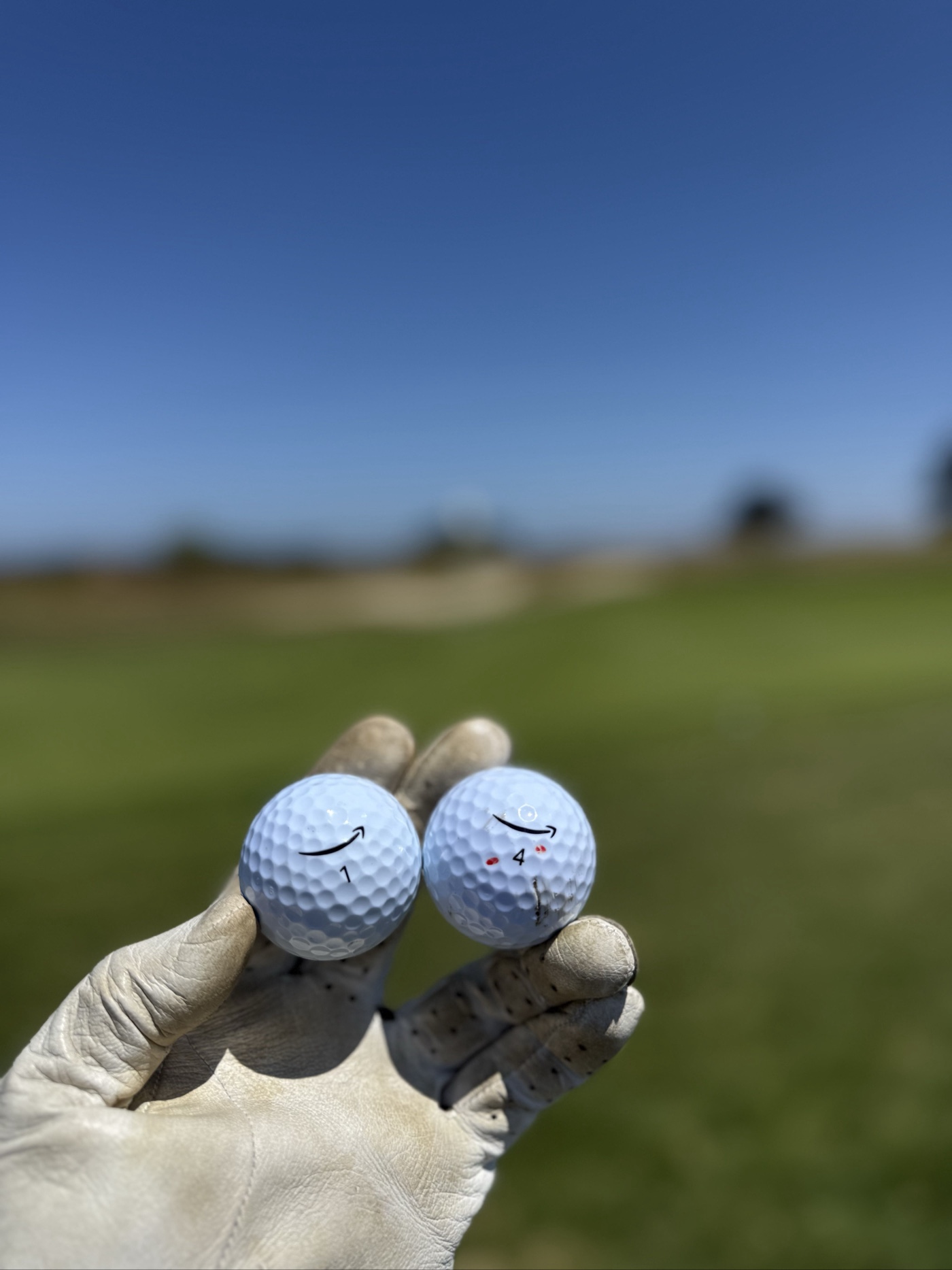 Golfer photo from a round at Shoreline Golf Links at Mountain View in Mountain View, California