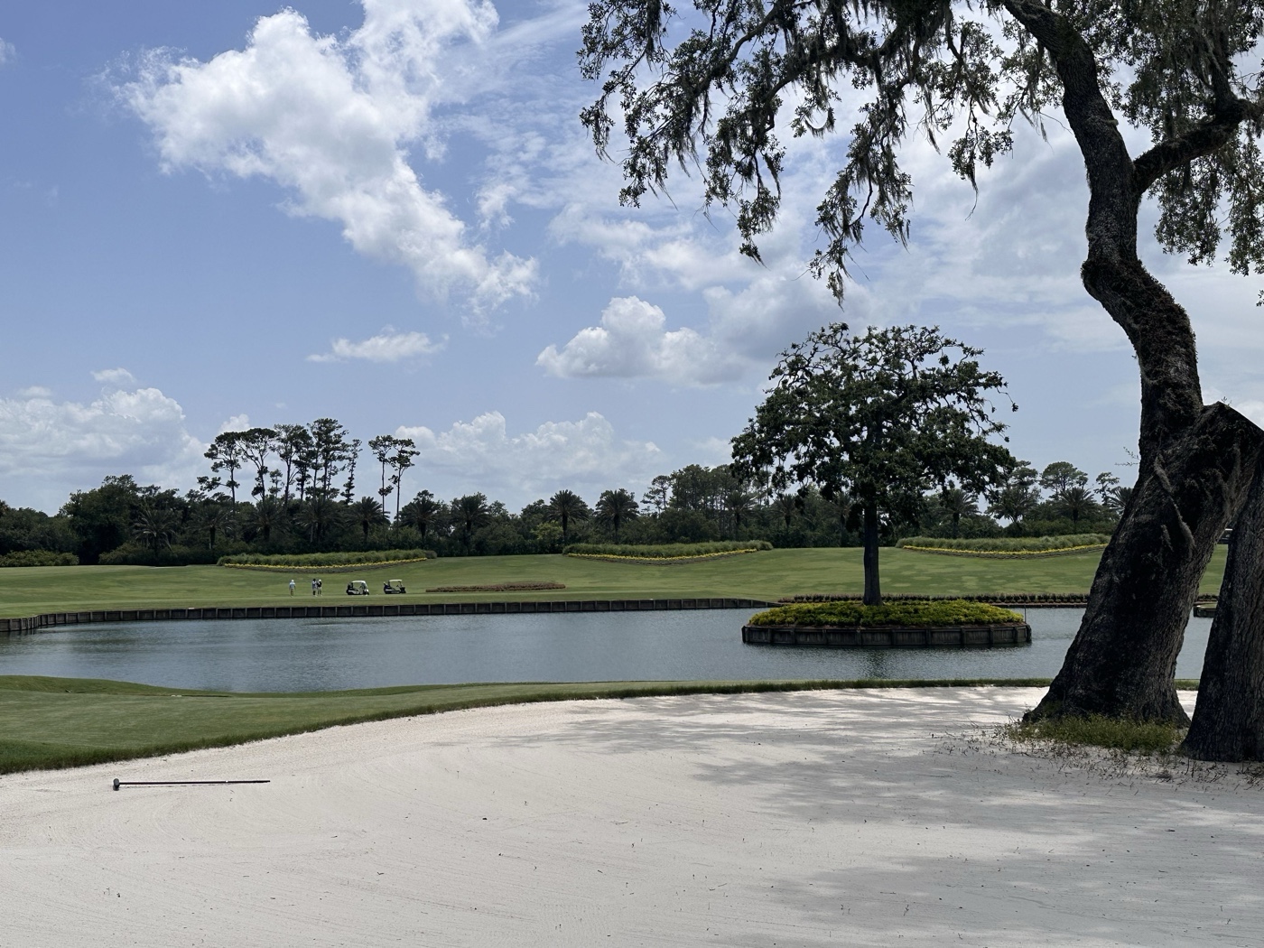 Golfer photo from a round at The Players Stadium - TPC Sawgrass in Ponte Vedra Beach, Florida