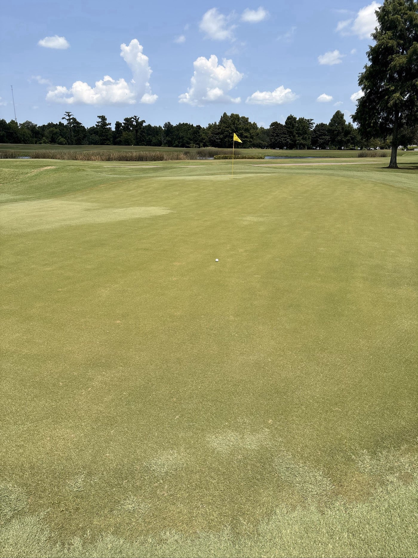 Golfer photo from a round at TPC Louisiana in Avondale, Louisiana