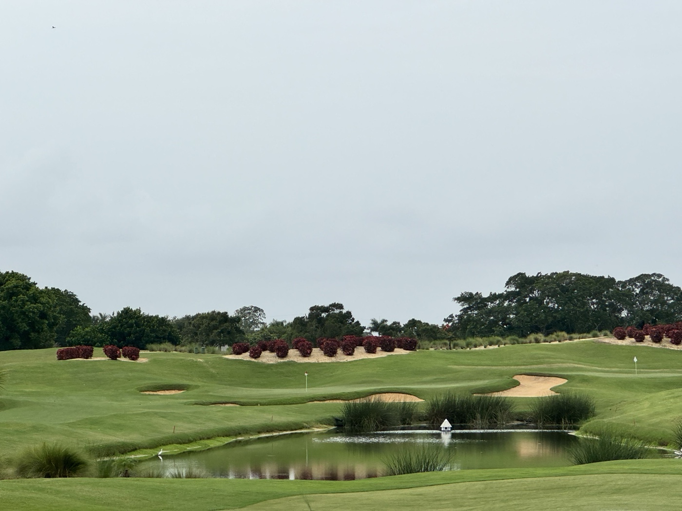 Golfer photo from a round at North Palm Beach Country Club in North Palm Beach, Florida