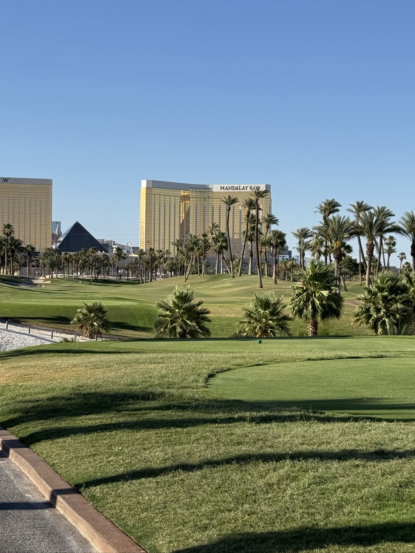 Golfer photo from a round at Bali Hai Golf Club in Las Vegas, Nevada
