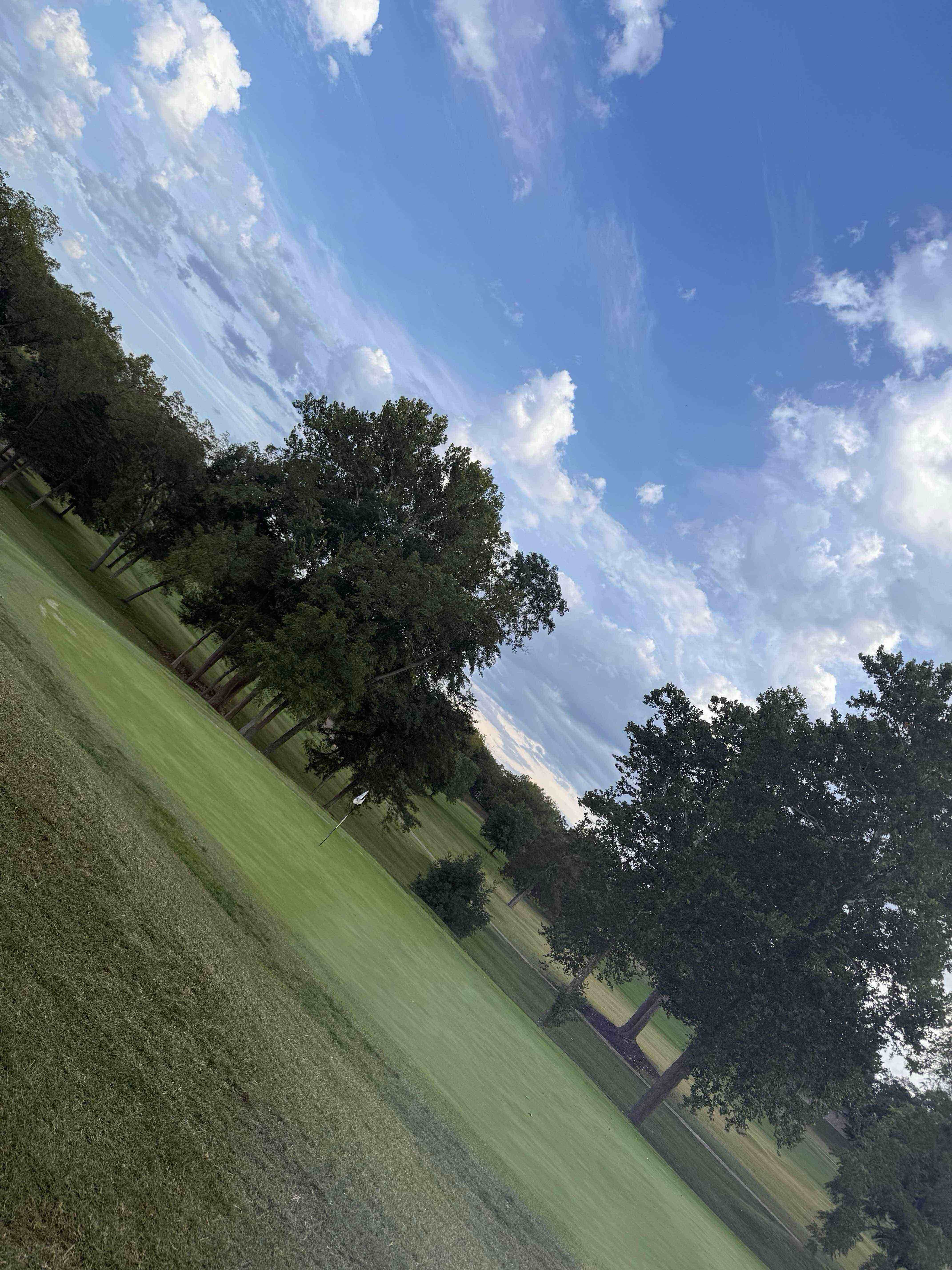 Golfer photo from a round at Lake Valley Country Club in Camdenton, Missouri