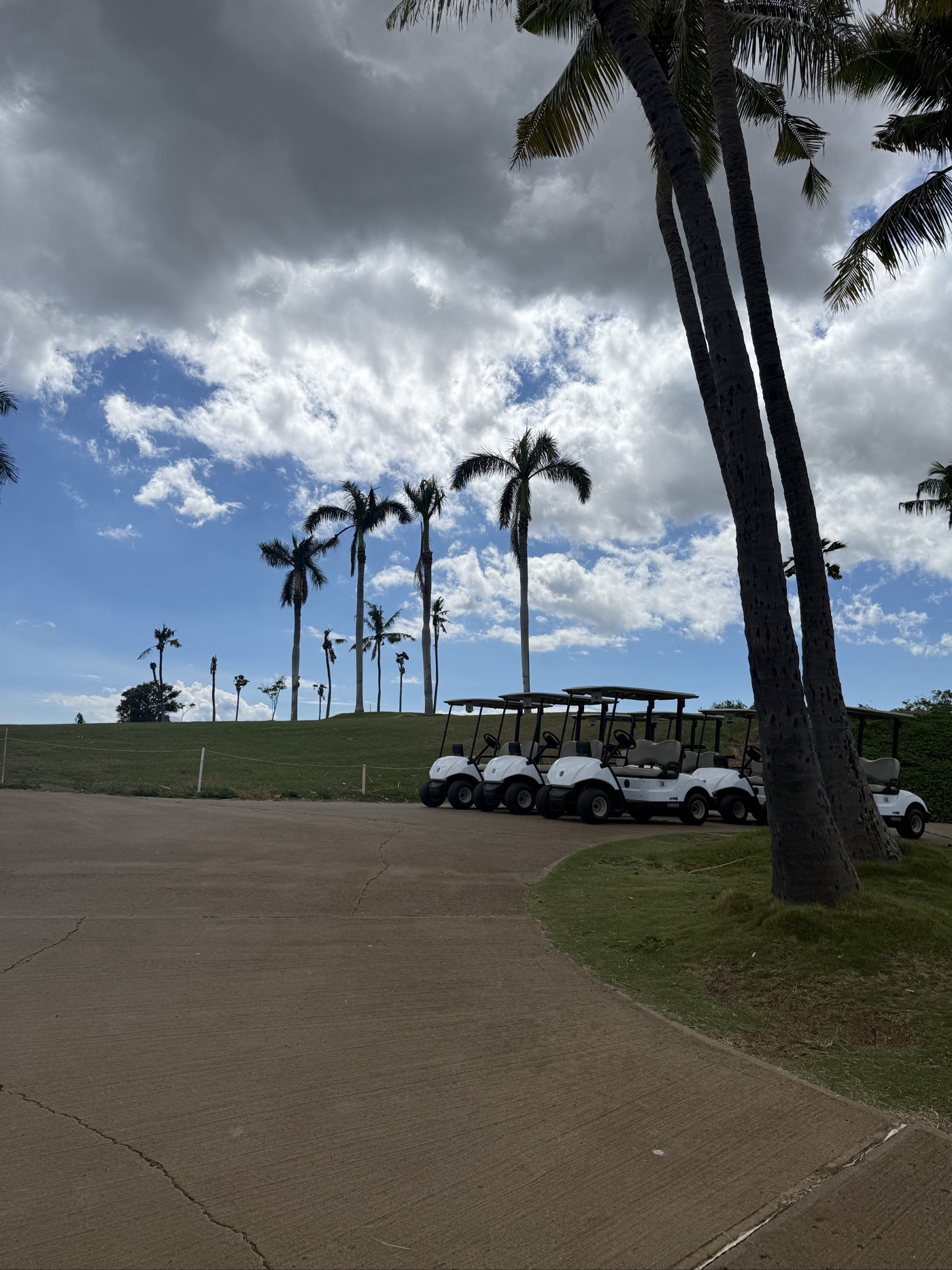 Golfer photo from a round at Ewa Villages Golf Course in Ewa Beach, Hawaii