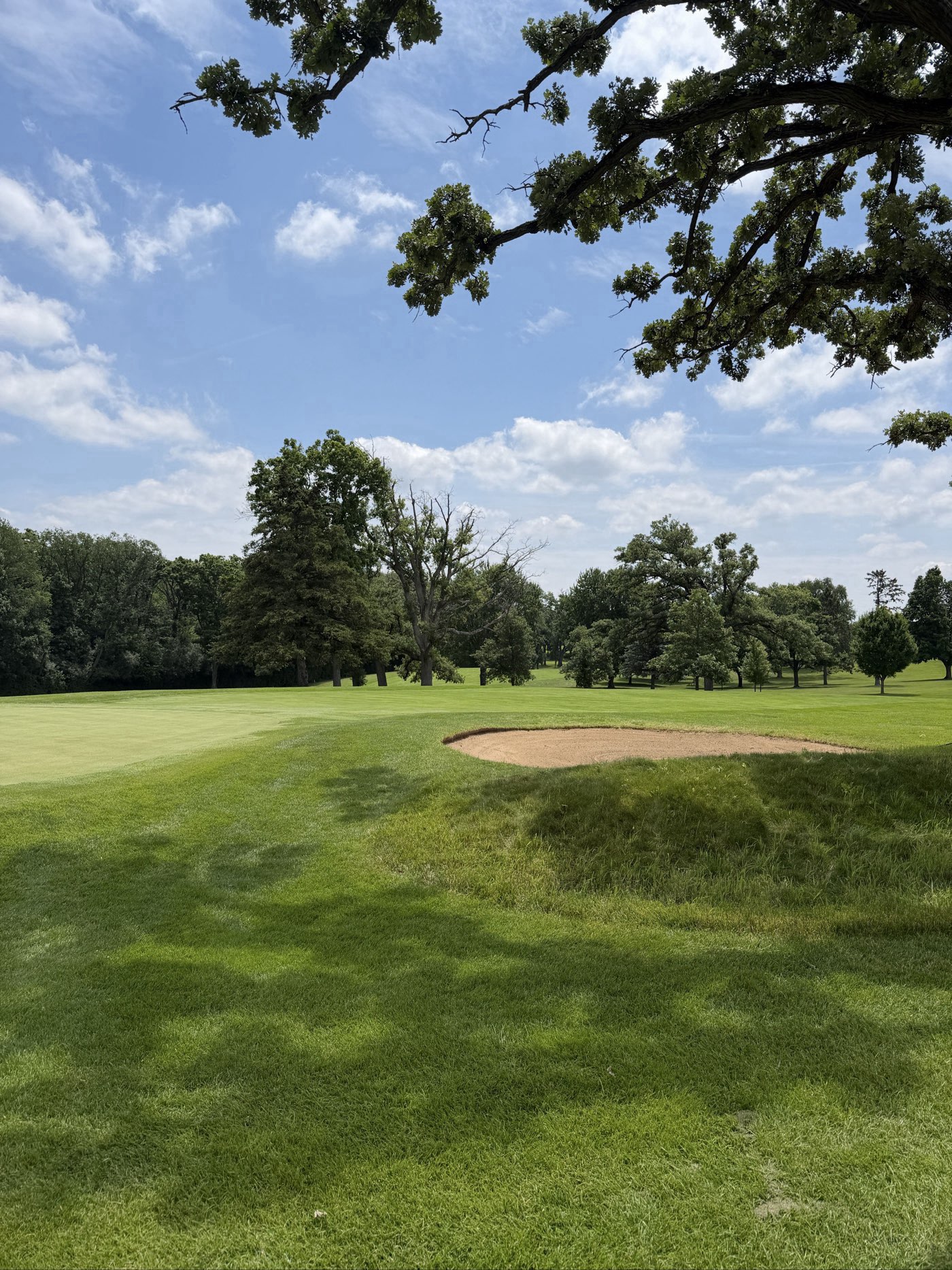 Golfer photo from a round at Woodstock Country Club in Woodstock, Illinois