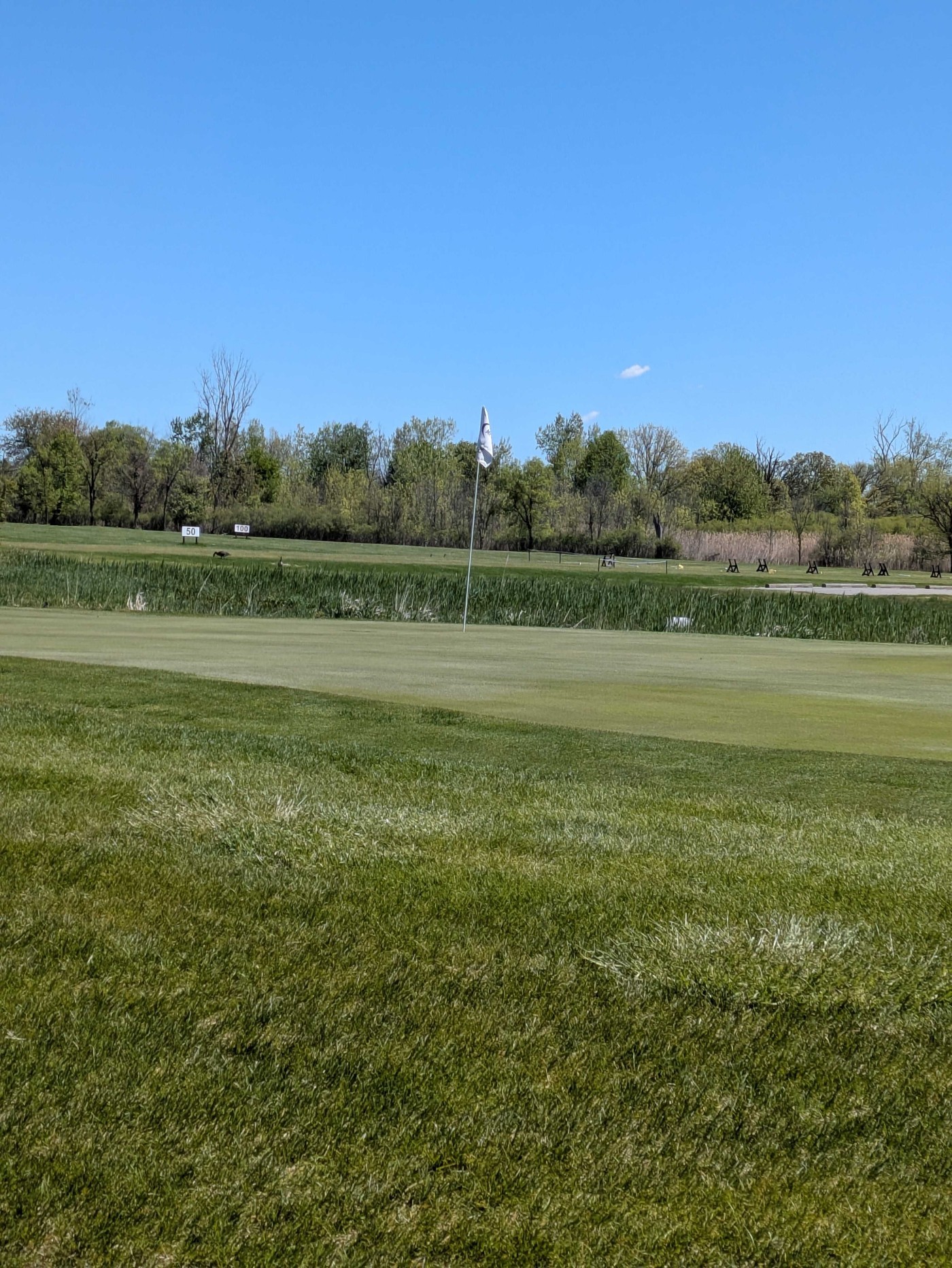 Golfer photo from a round at Lake Erie Metropark Golf Course in Brownstown Charter Twp, Michigan