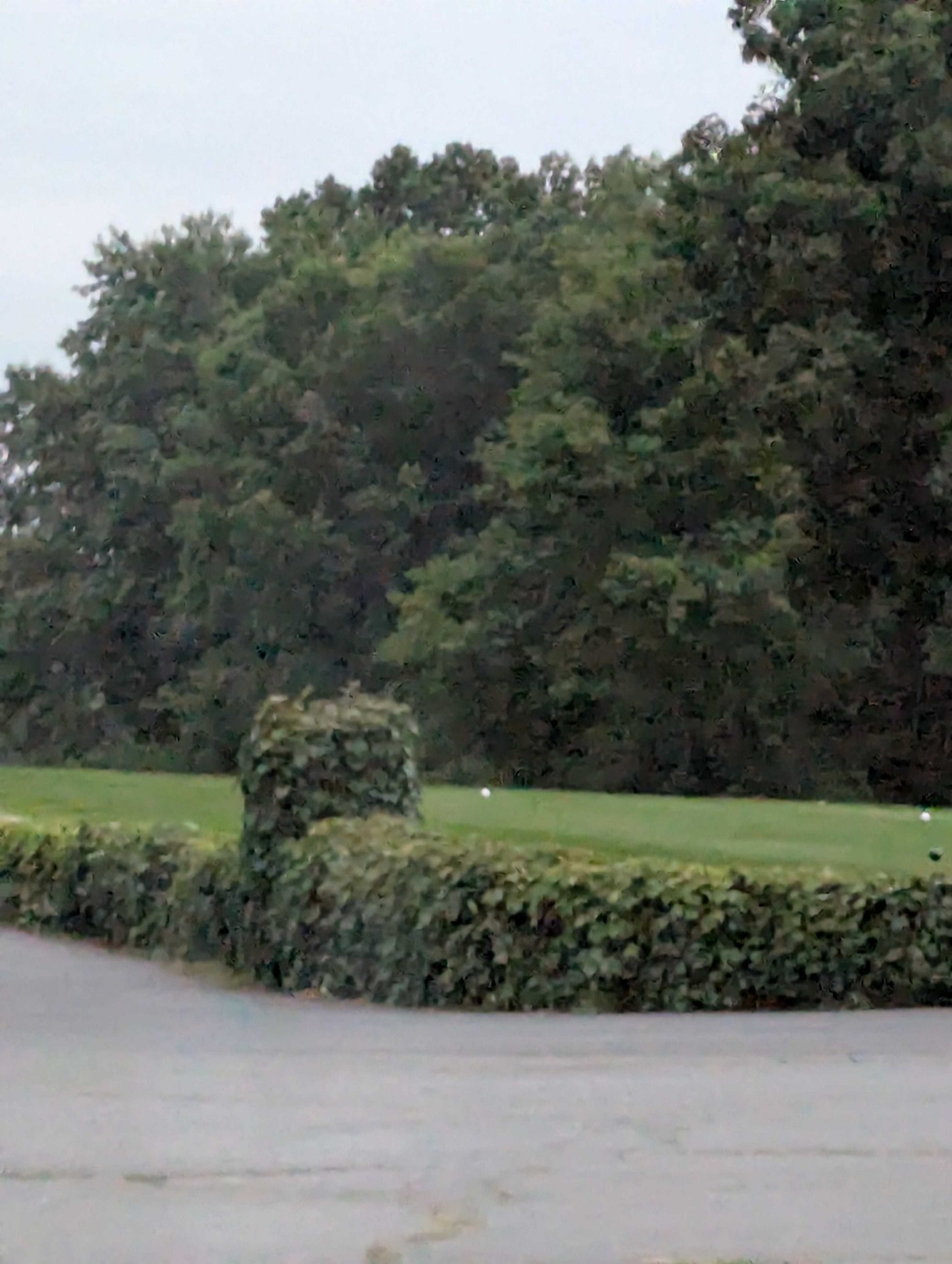 Golfer photo from a round at Hickory Hills Golf Course in Methuen, Massachusetts