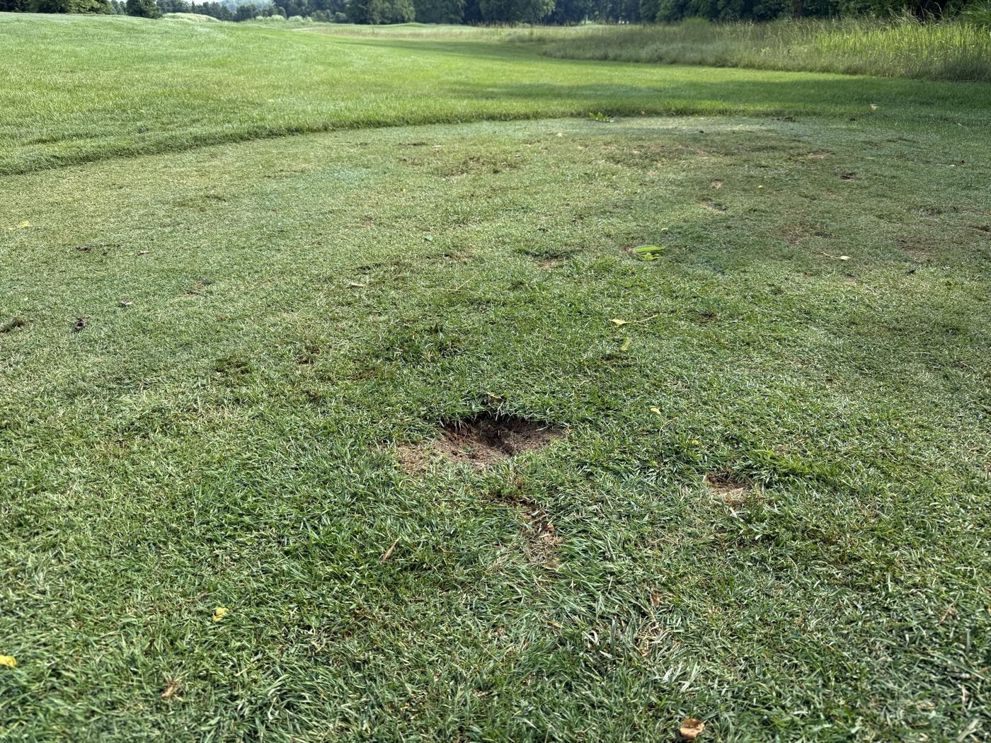 Golfer photo from a round at Westchester Golf Course in Canal Winchester, Ohio