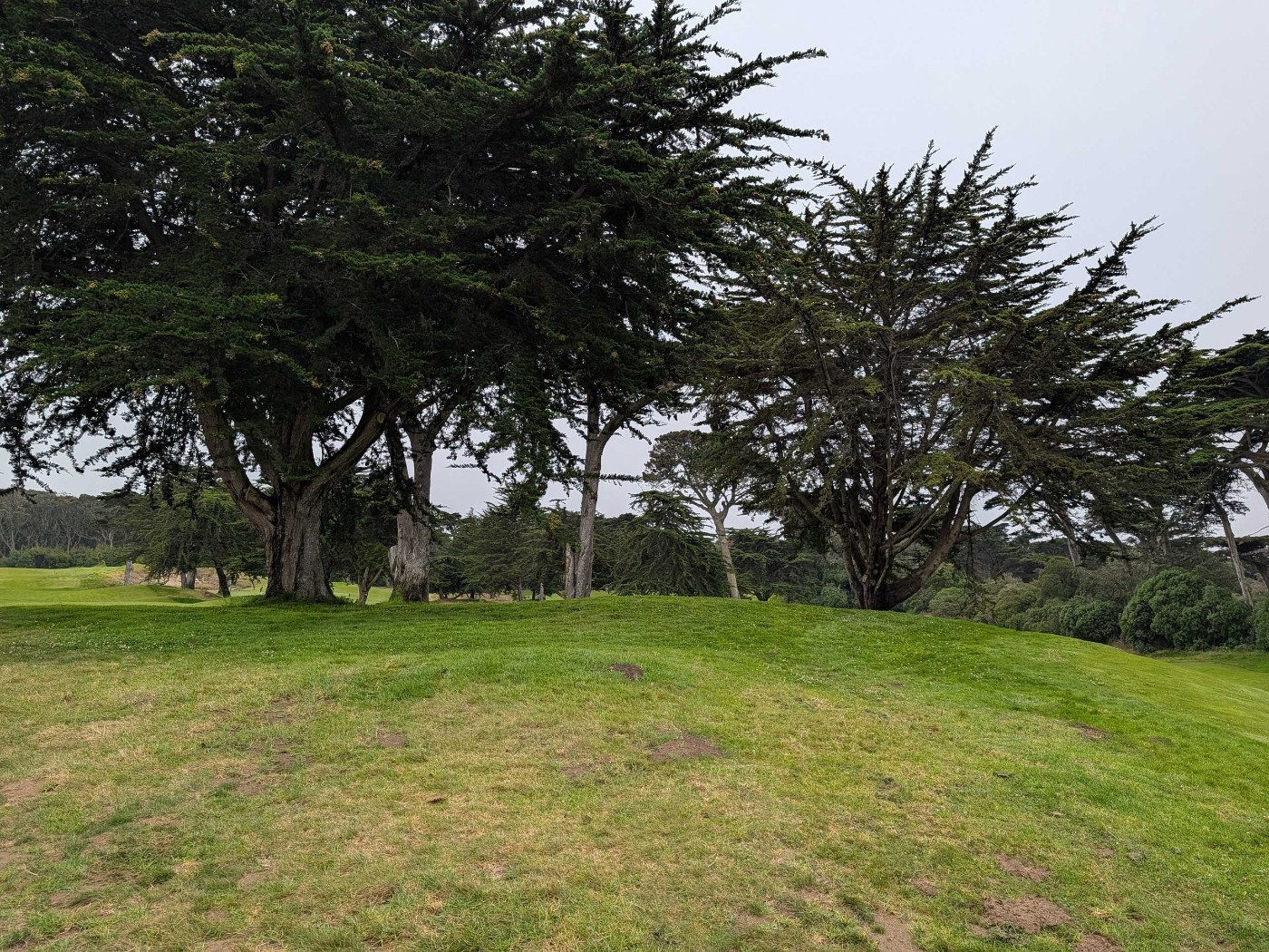 Golfer photo from a round at Golden Gate Park Golf Course in San Francisco, California