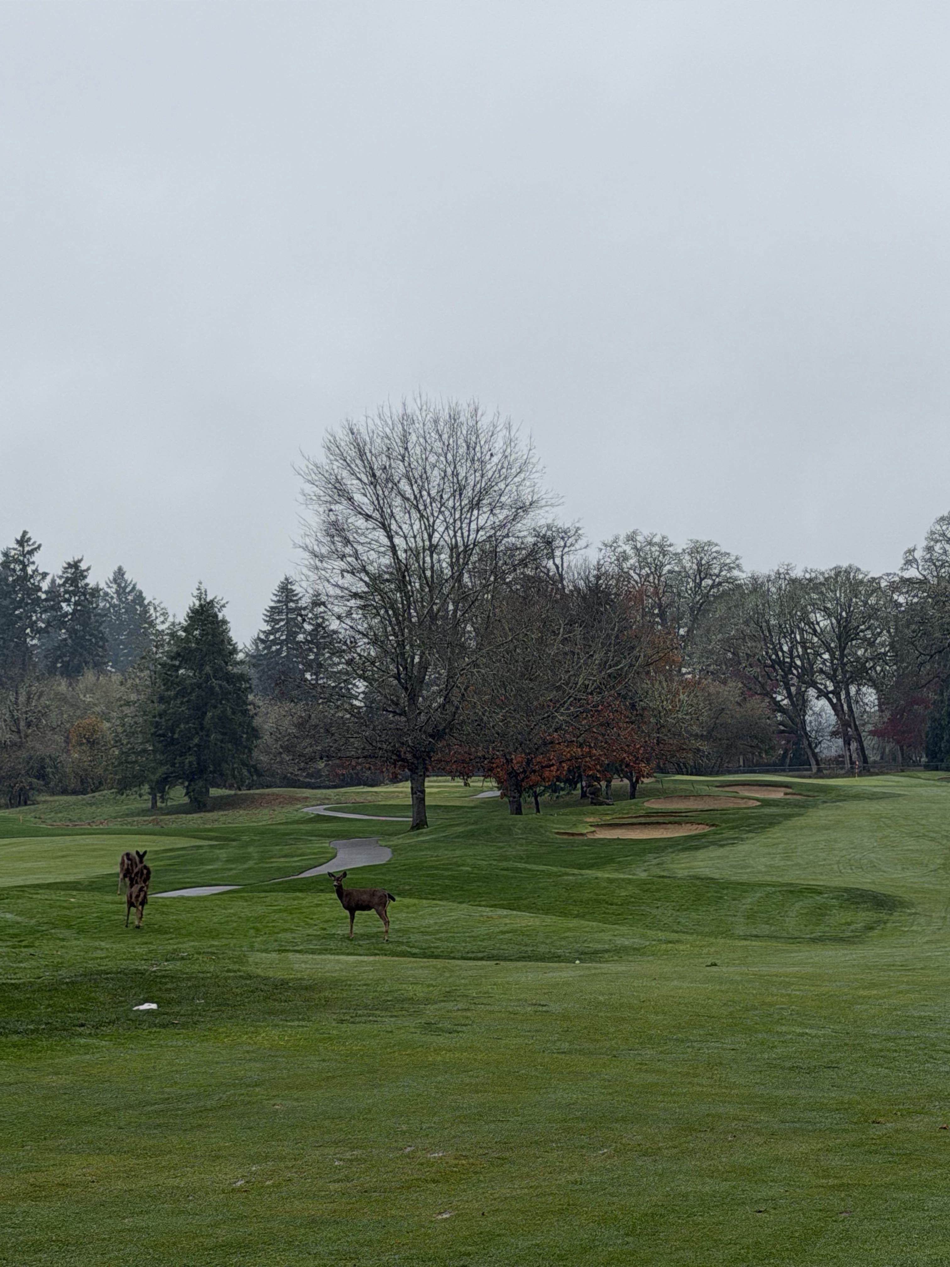 Golfer photo from a round at Witch Hollow at Pumpkin Ridge Golf Club in North Plains, Oregon