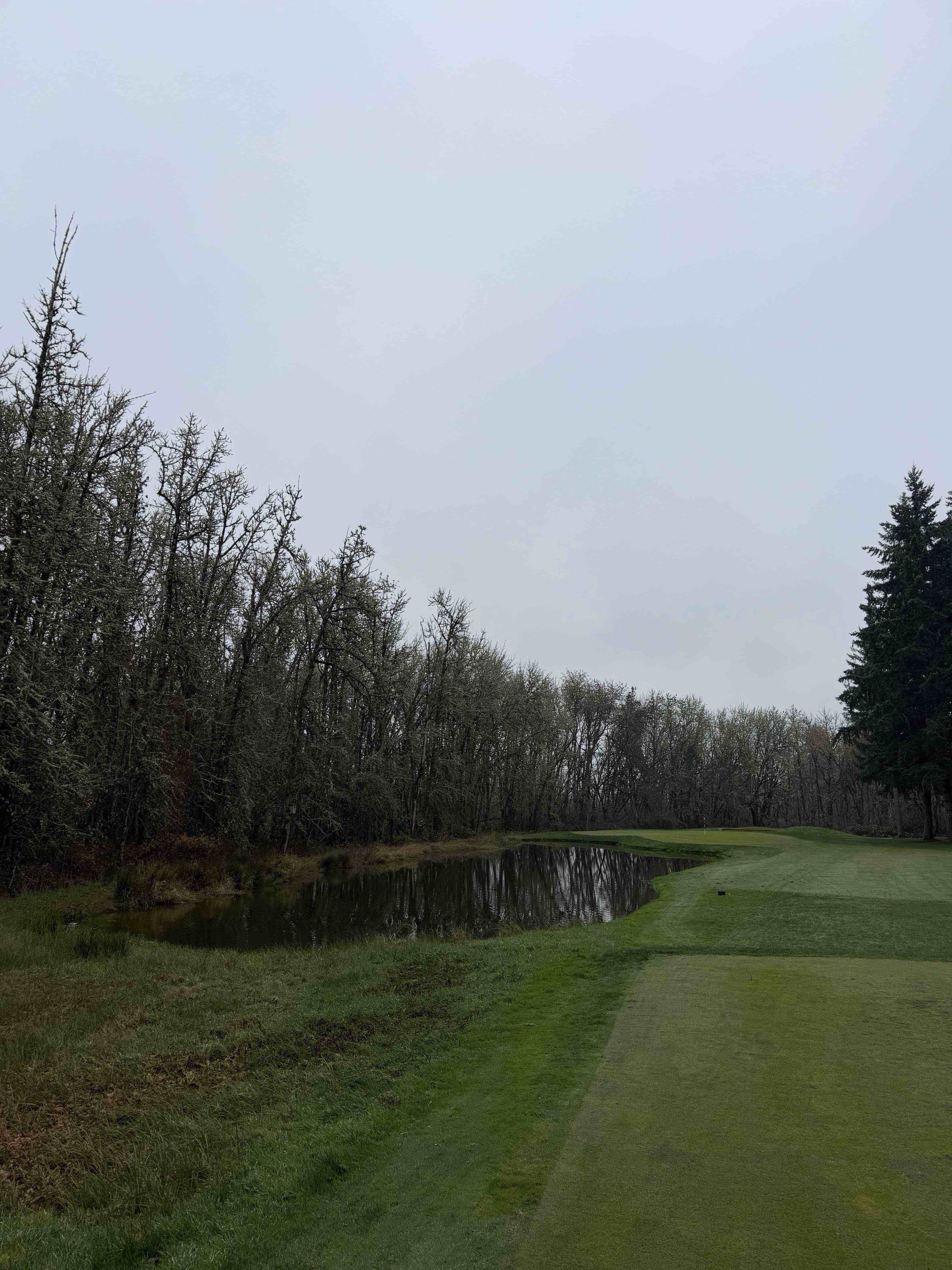 Golfer photo from a round at Witch Hollow at Pumpkin Ridge Golf Club in North Plains, Oregon
