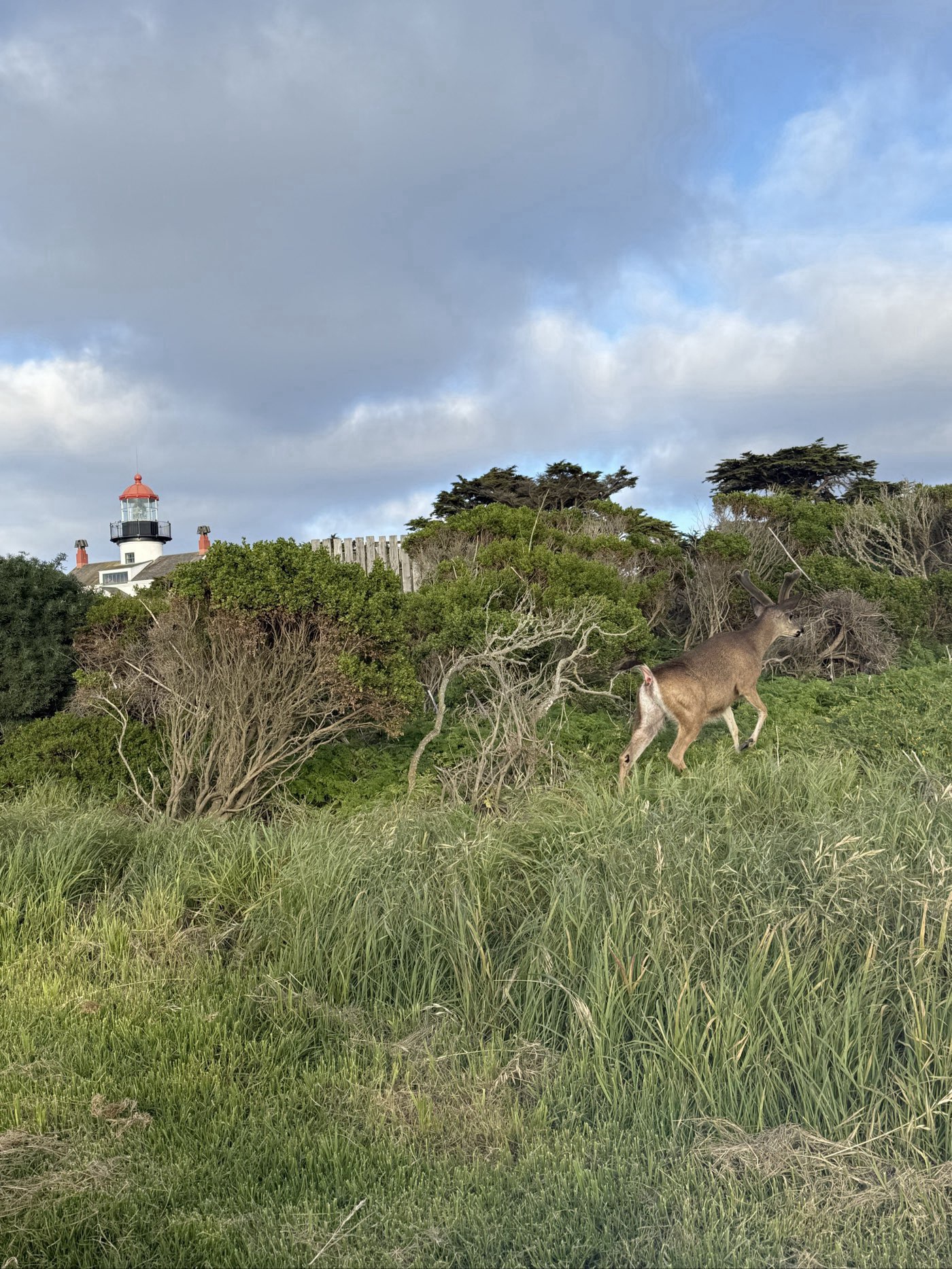 Golfer photo from a round at Pacific Grove Golf Links in Pacific Grove, California