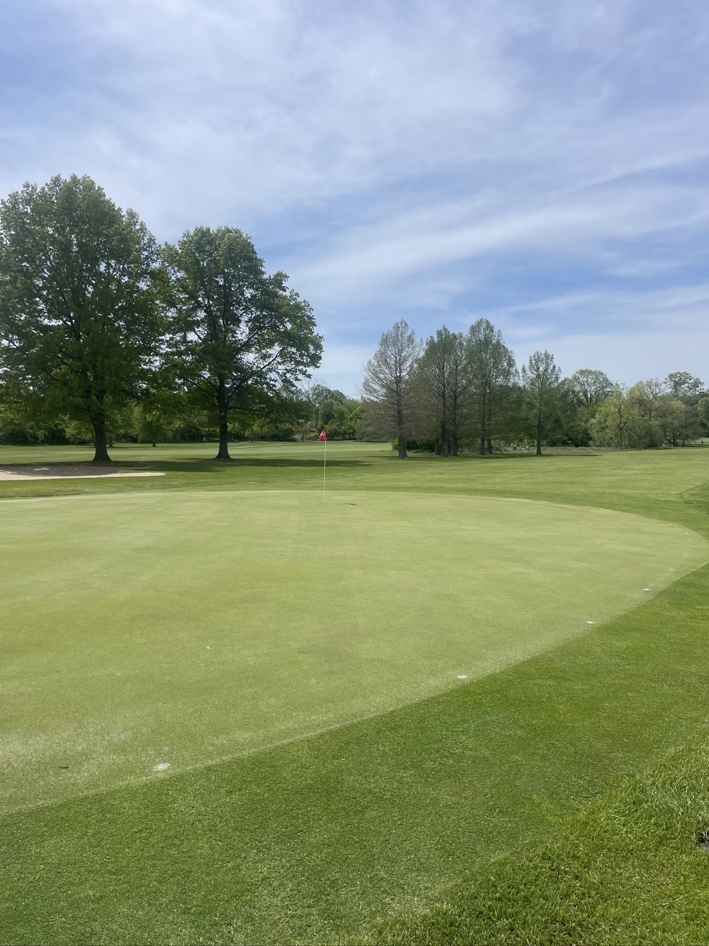 Golfer photo from a round at Hudson Mills Golf Course in Dexter, Michigan