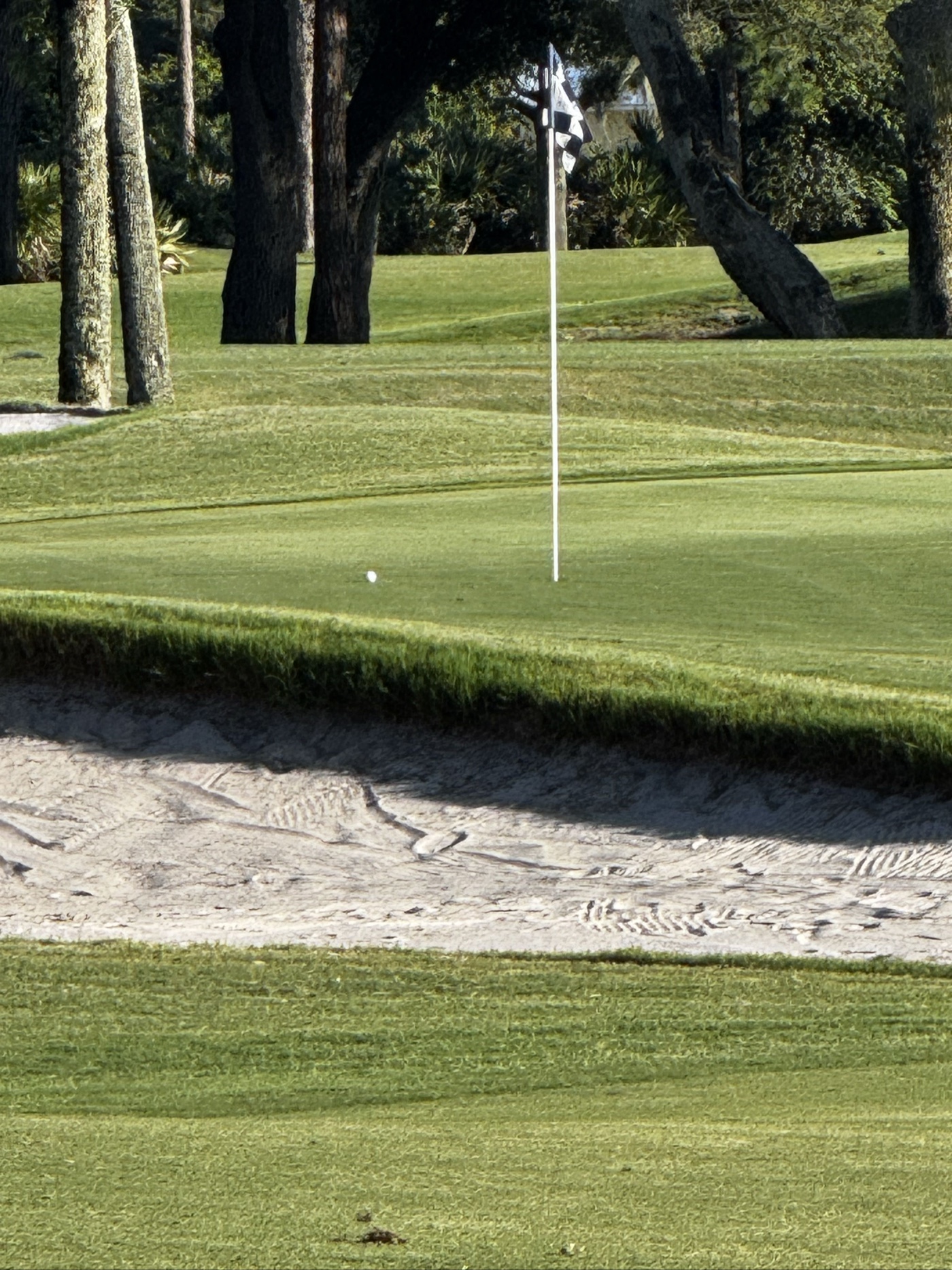 Golfer photo from a round at Lakes - Sandridge Golf Club in Vero Beach, Florida
