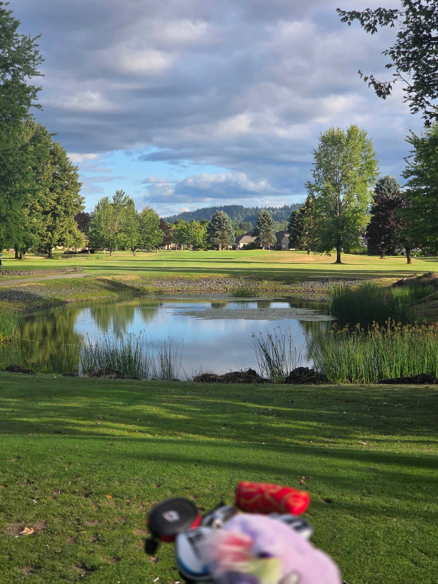 Golfer photo from a round at Executive - High Cedars Golf Club in Orting, Washington