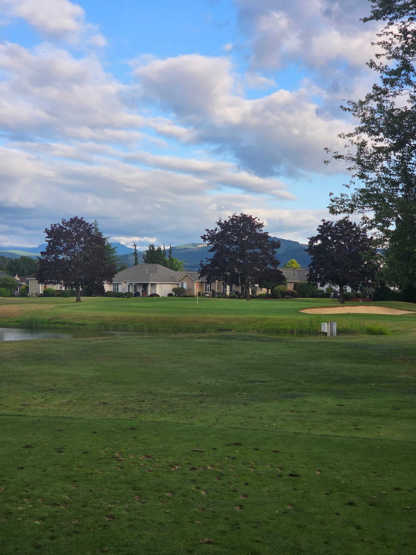 Golfer photo from a round at Executive - High Cedars Golf Club in Orting, Washington